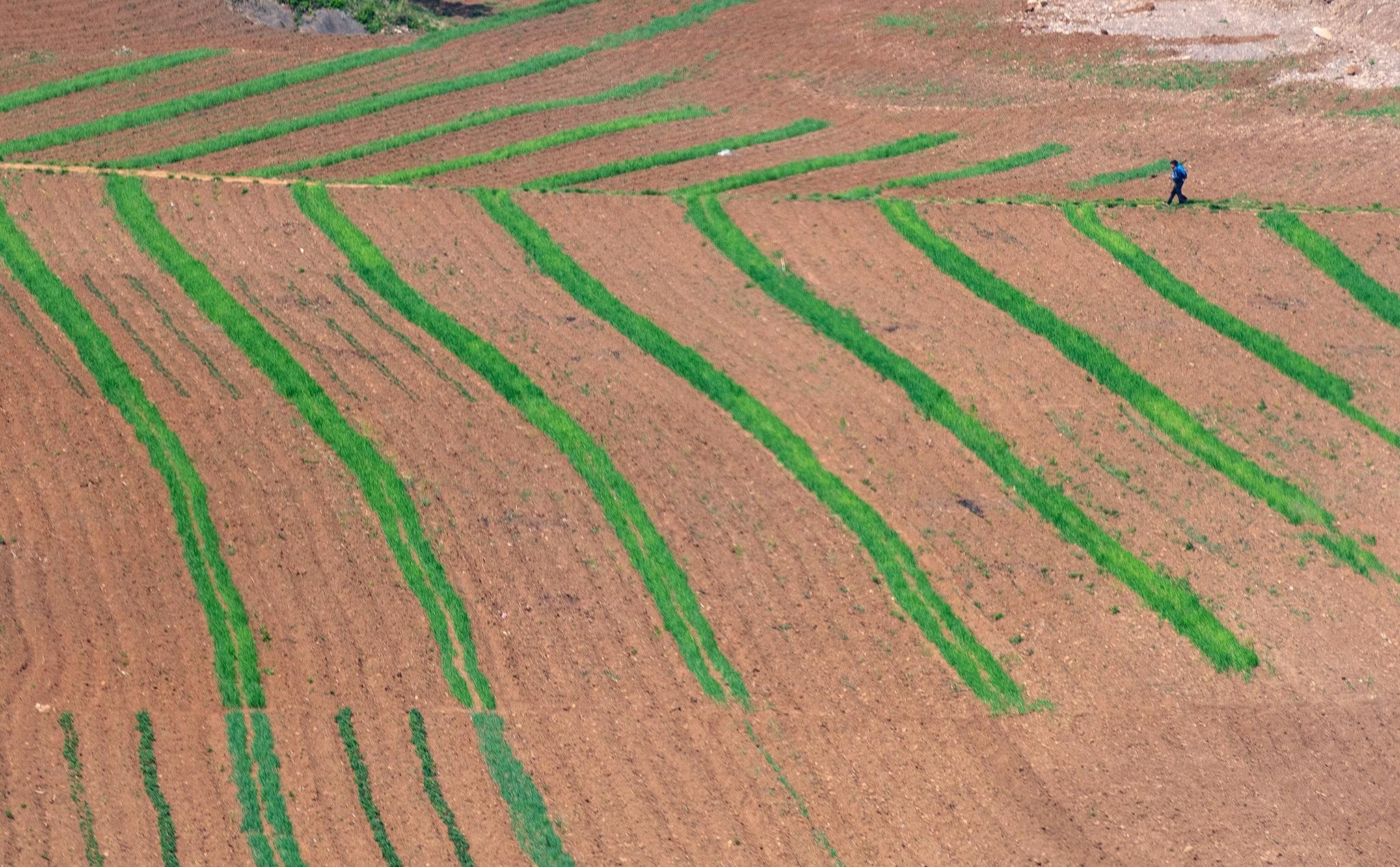 doi song o Trieu Tien anh 12