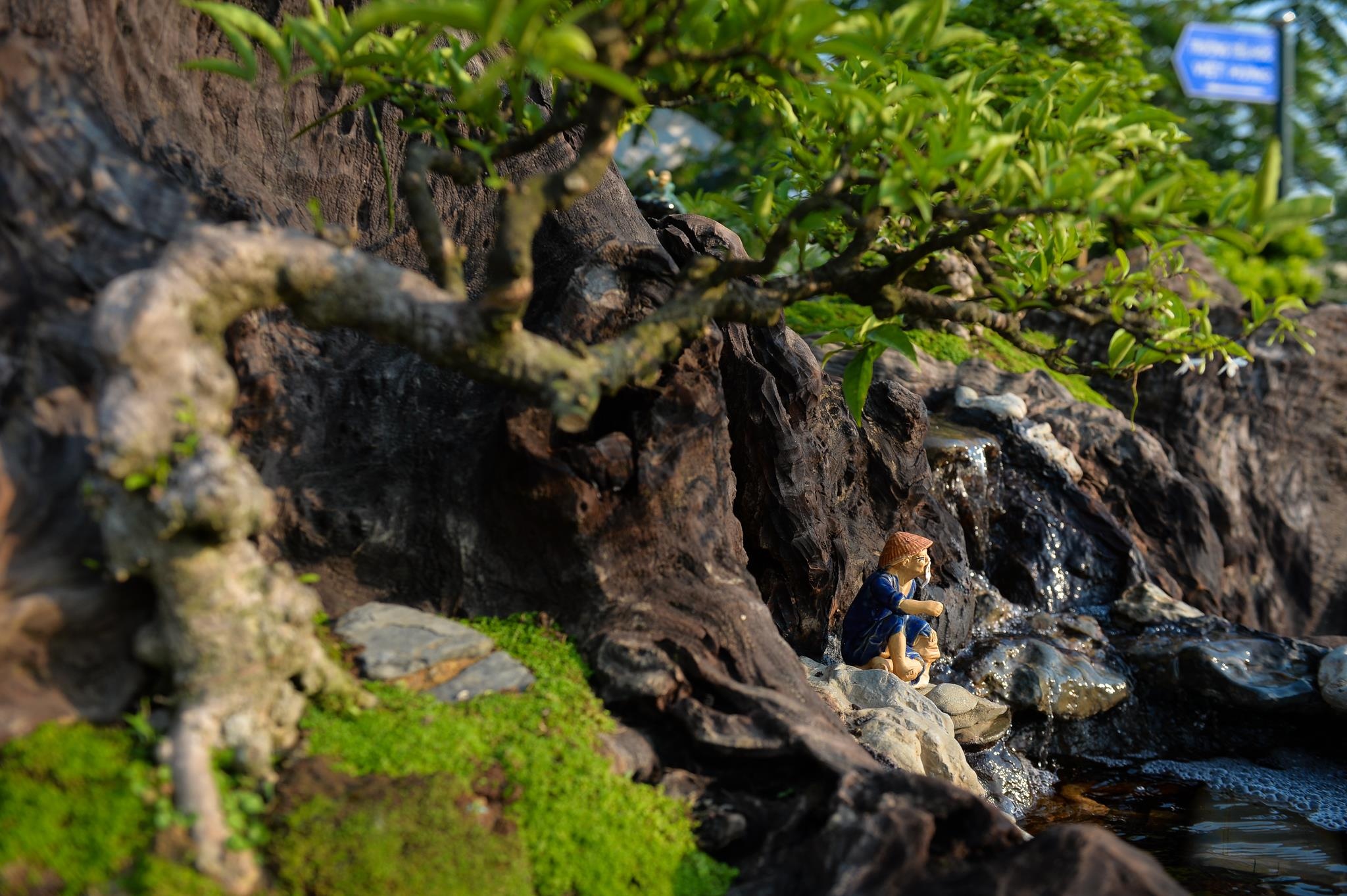 tùng la hán tiền tỷ ảnh 10 tung la han tien ty anh 10