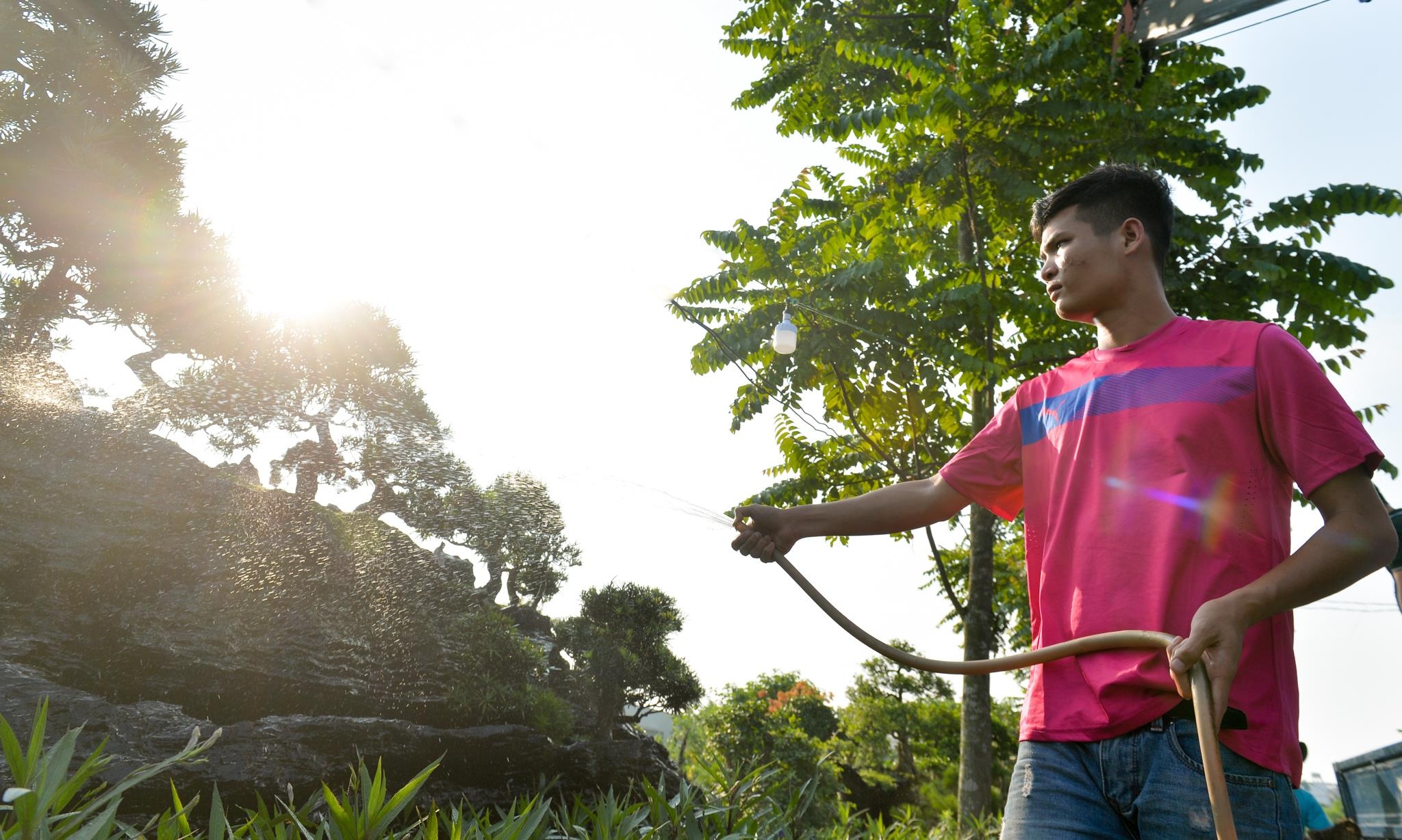 tùng la hán tiền tỷ ảnh 1 tung la han tien ty anh 1