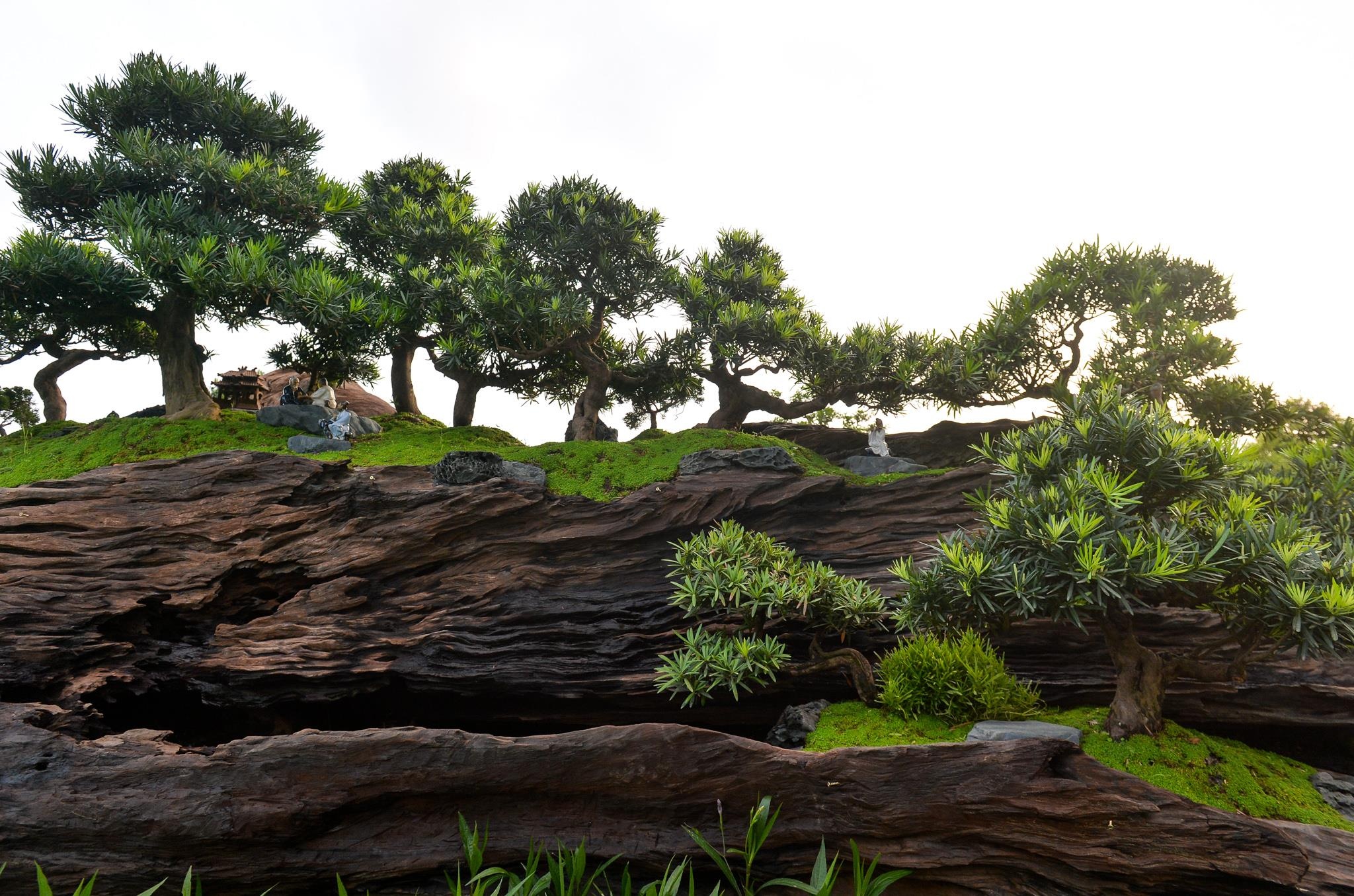 tùng la hán tiền tỷ ảnh 2 tung la han tien ty anh 2