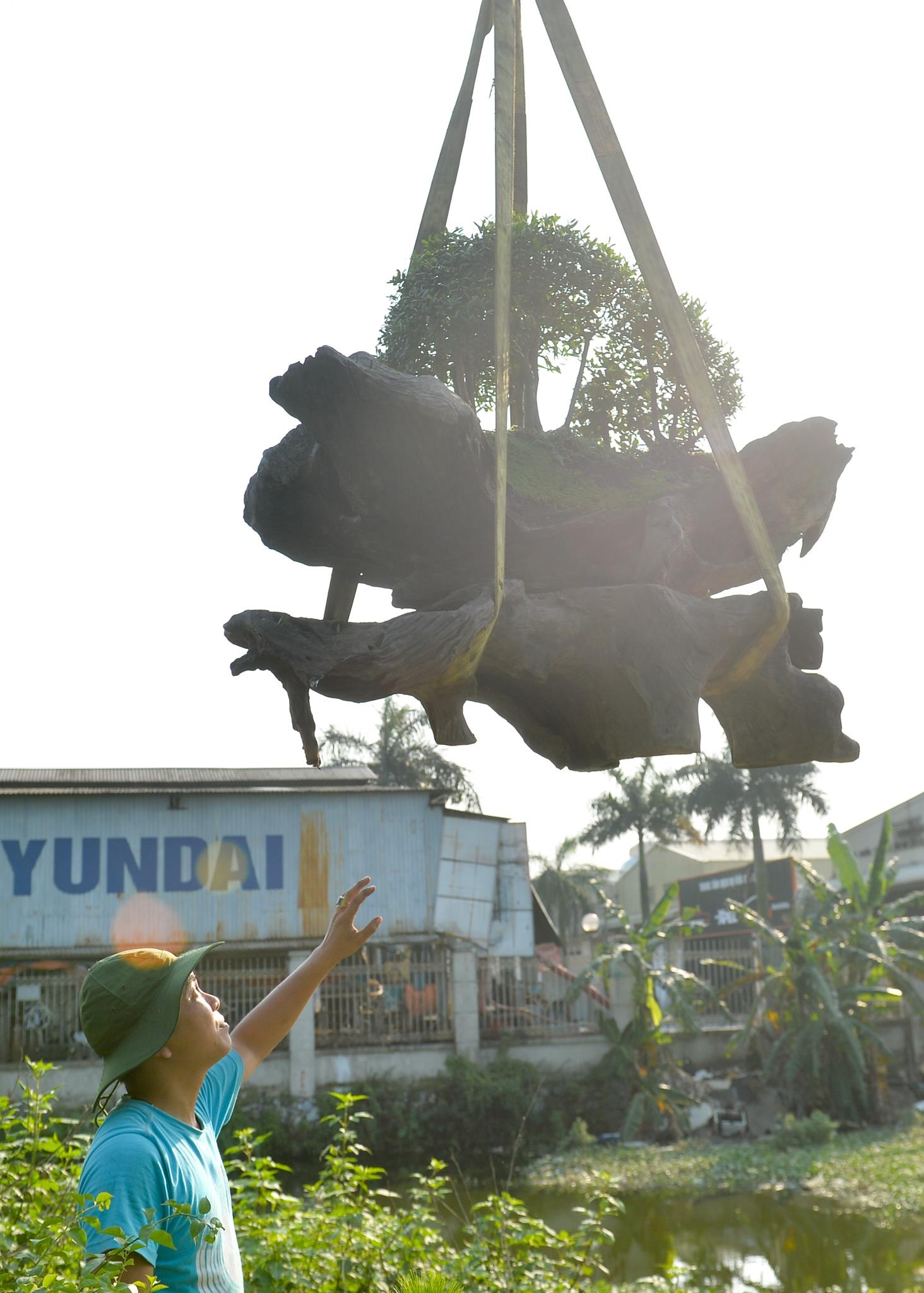 tùng la hán tiền tỷ ảnh 6 tung la han tien ty anh 6