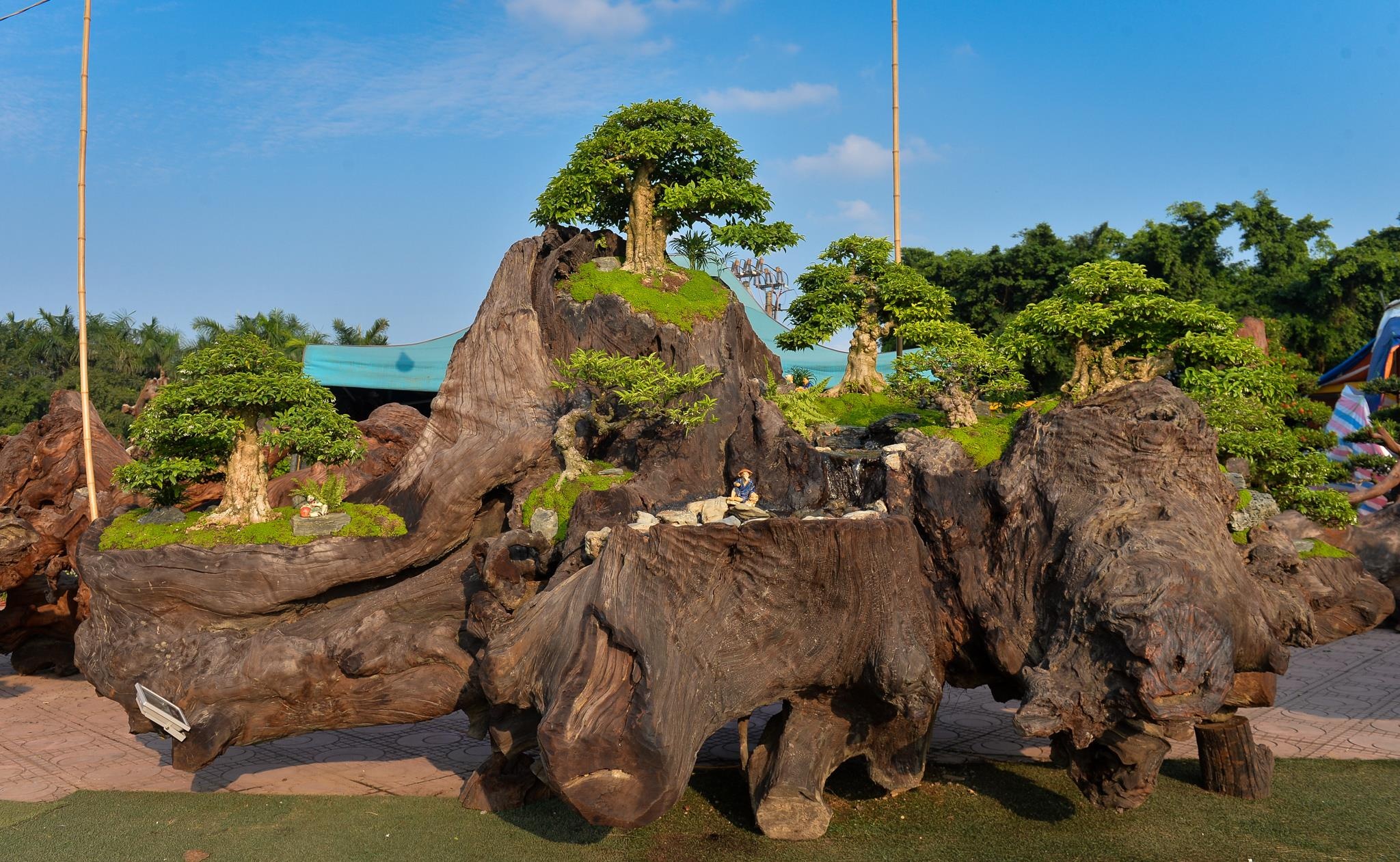 tùng la hán tiền tỷ ảnh 8 tung la han tien ty anh 8