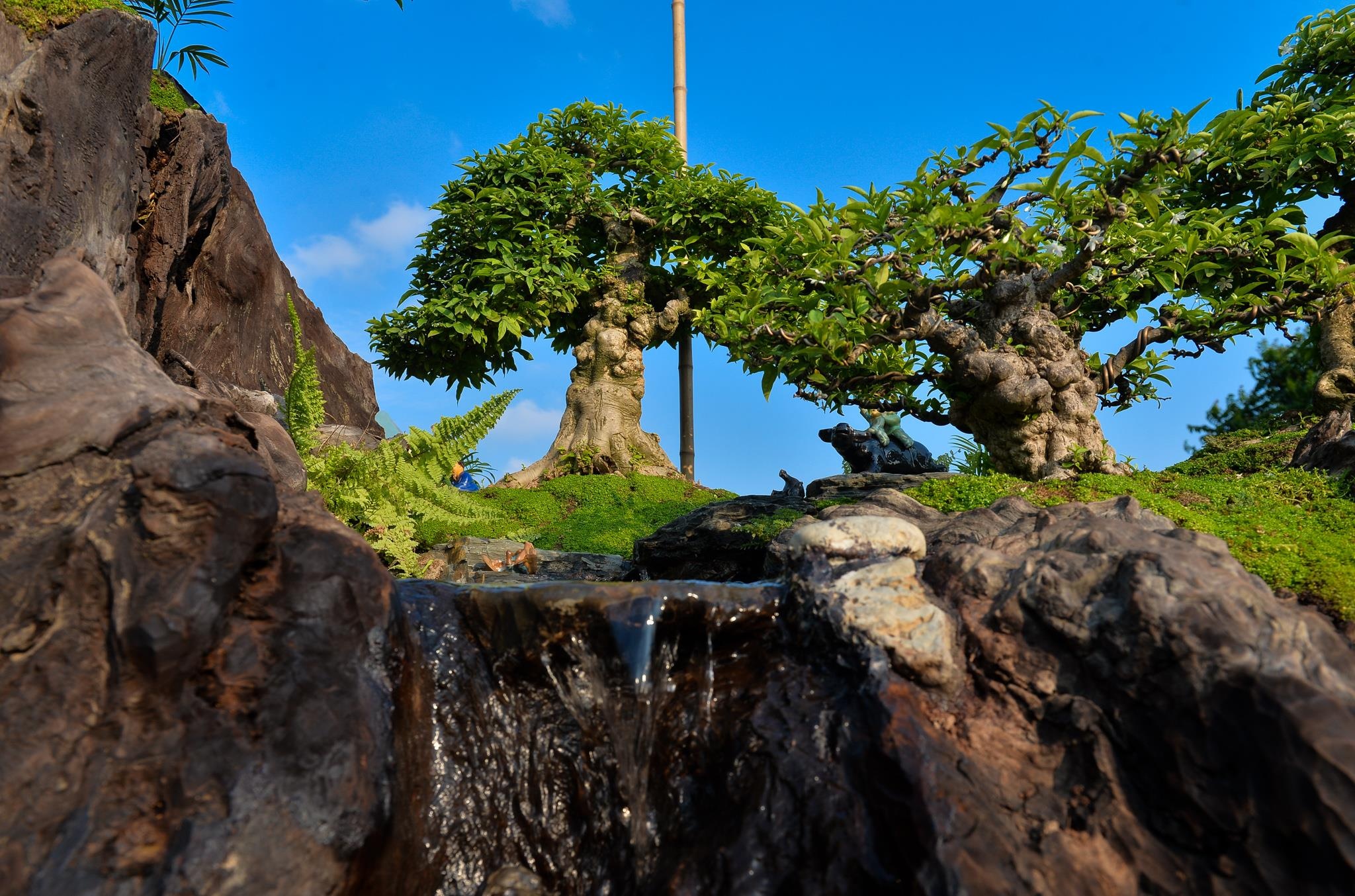 tùng la hán tiền tỷ ảnh 9 tung la han tien ty anh 9