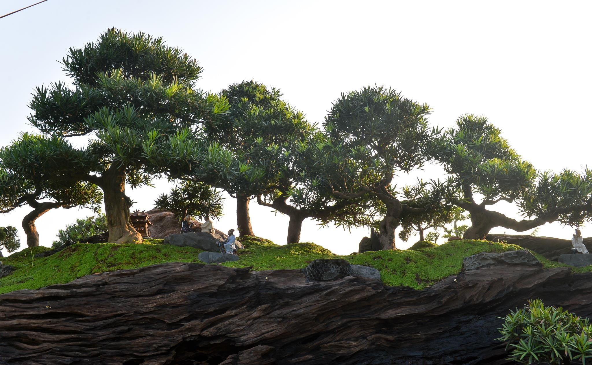 Doc dao bo tung la han gia 3 ty hinh anh