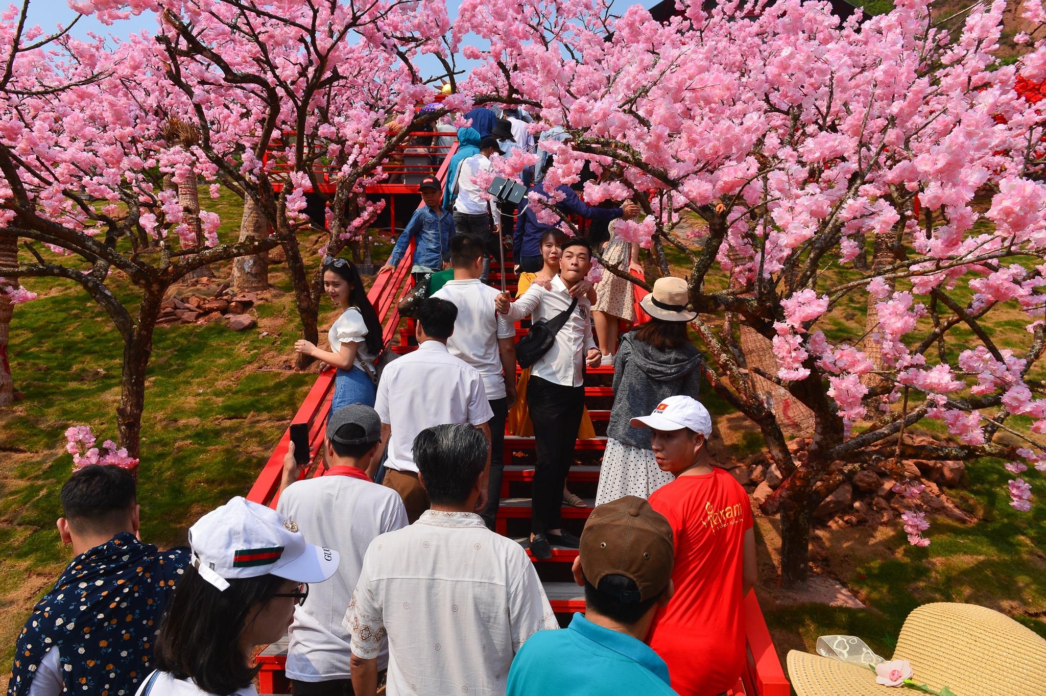 Cau kinh Moc Chau gay that vong anh 10