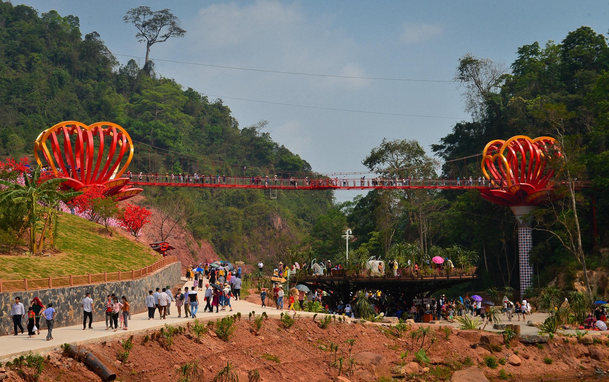 Cau kinh Moc Chau gay that vong anh 1