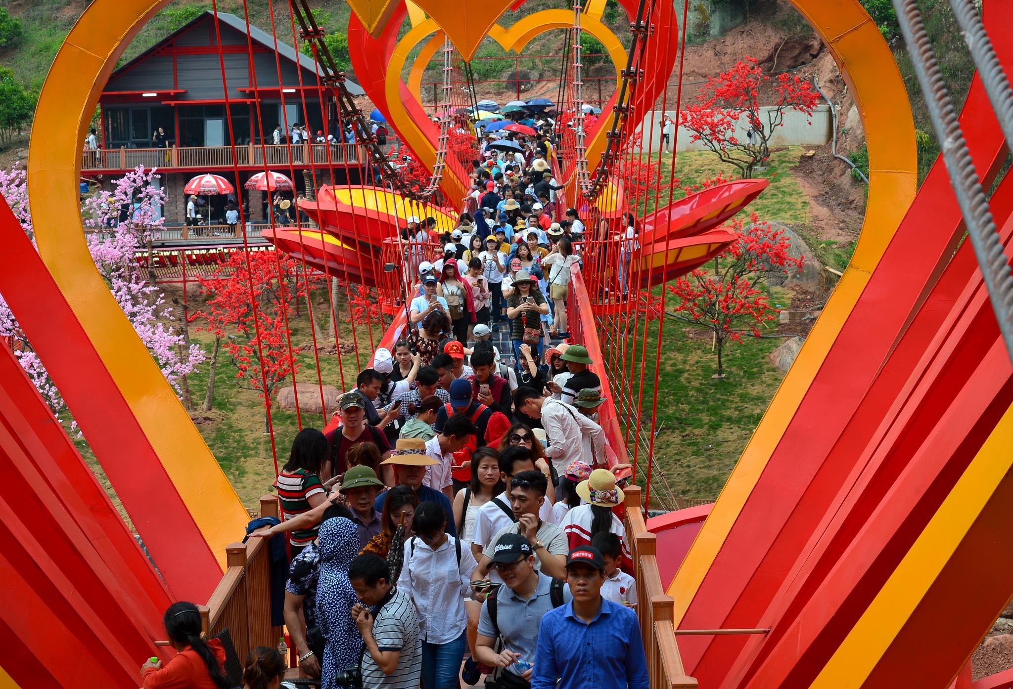 Cau kinh Moc Chau gay that vong anh 4