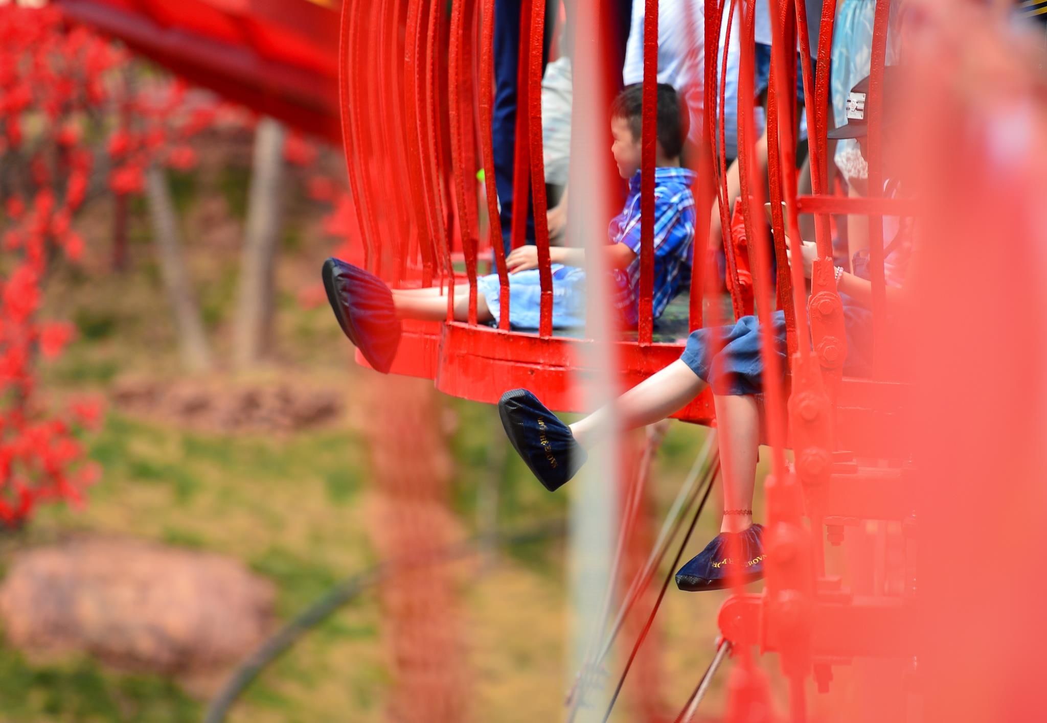 Cau kinh Moc Chau gay that vong anh 6