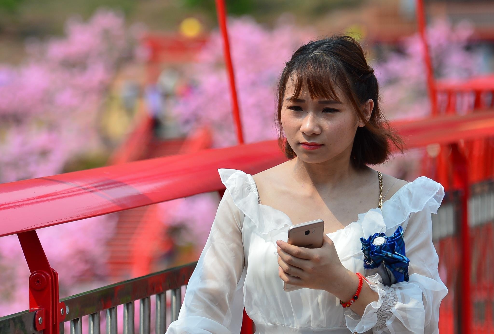 Cau kinh Moc Chau gay that vong anh 9