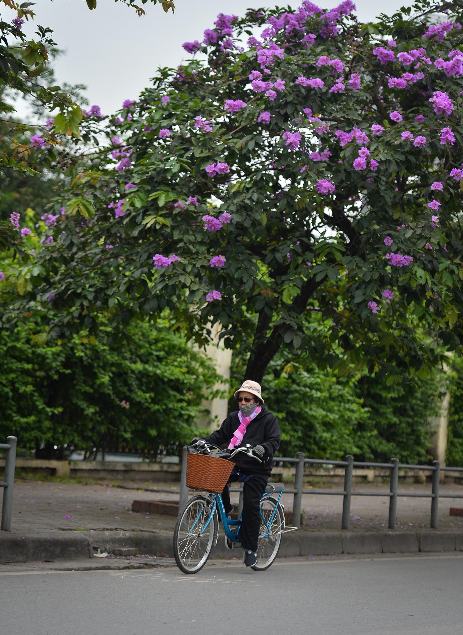 dot lanh giua mua he anh 2