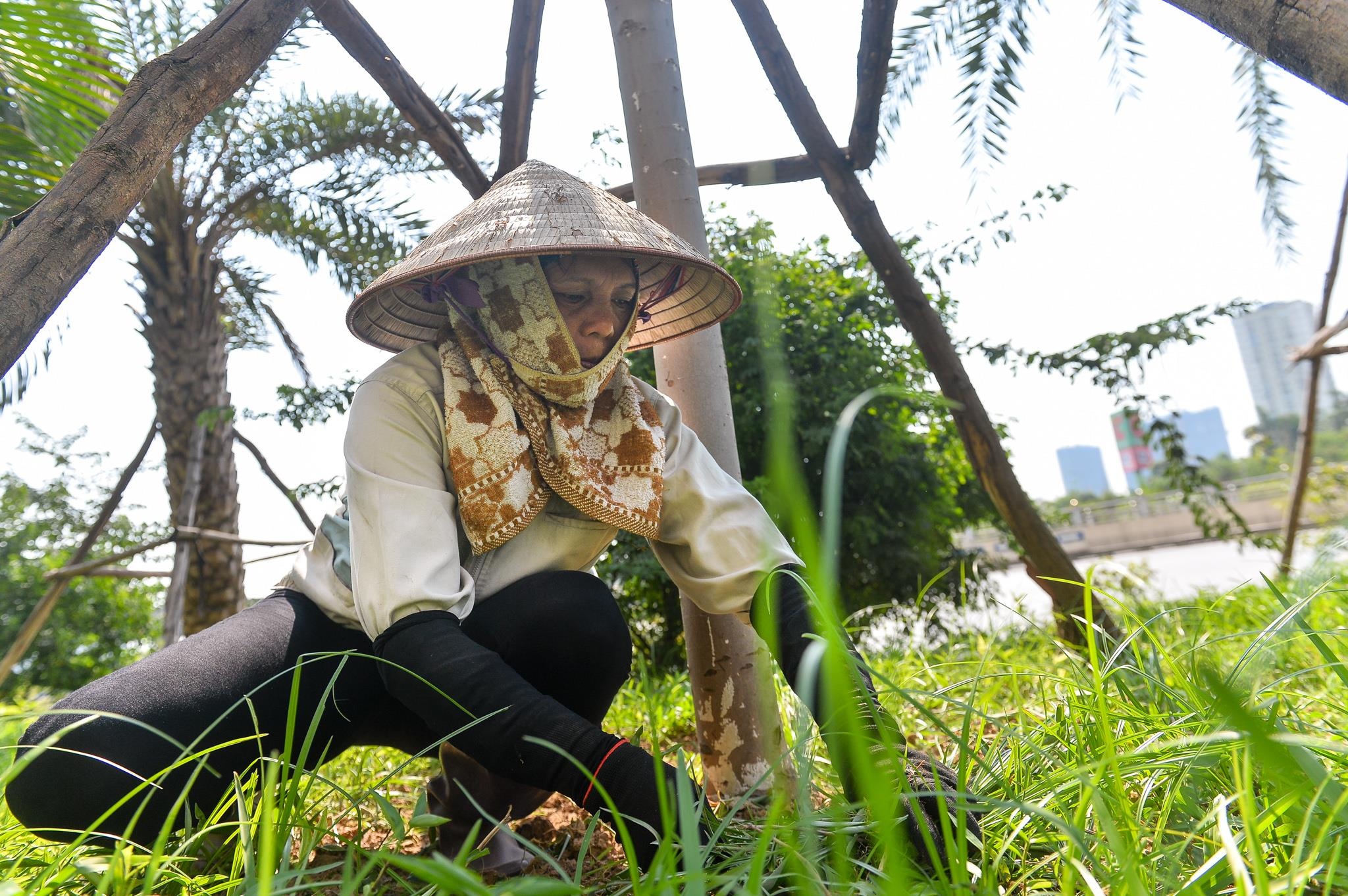 Muon cach tranh nang cua nguoi ha noi anh 5