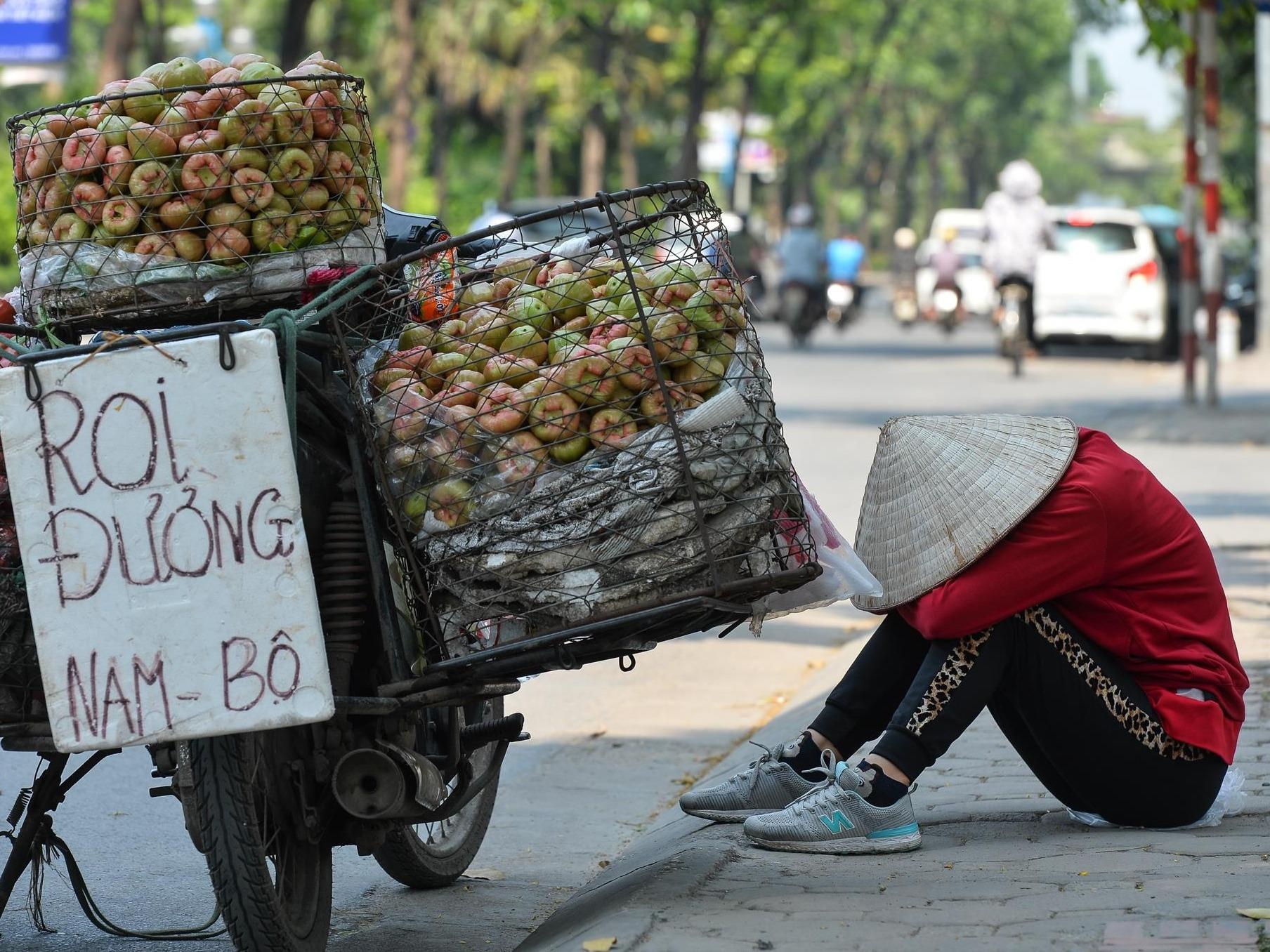 Danh vat voi nang nong bong rat hon 40 do C ngoai duong pho hinh anh