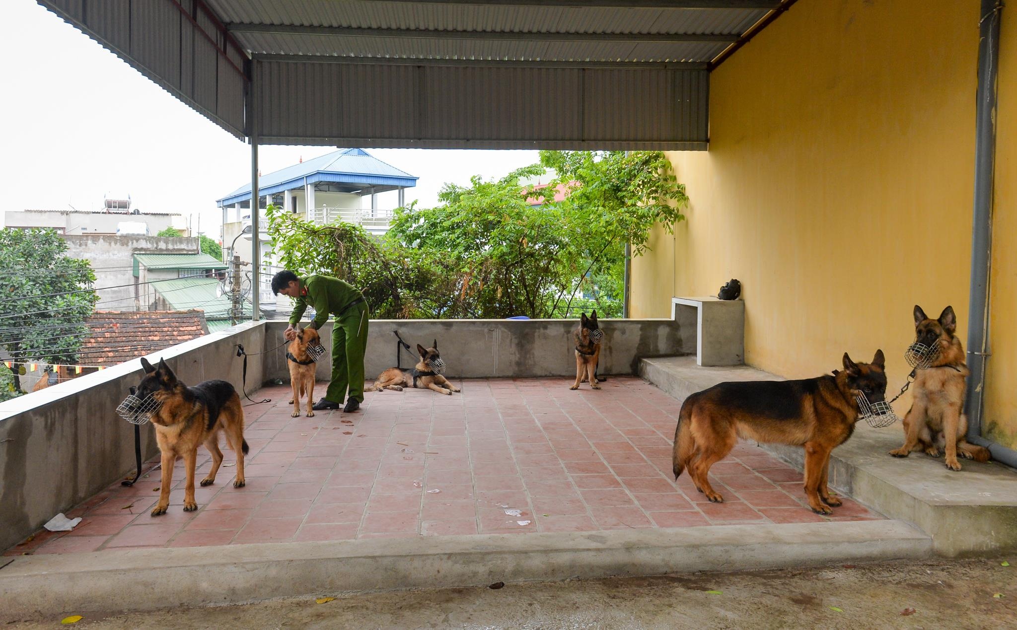 Cho nghiep vu tai tim ma tuy anh 1