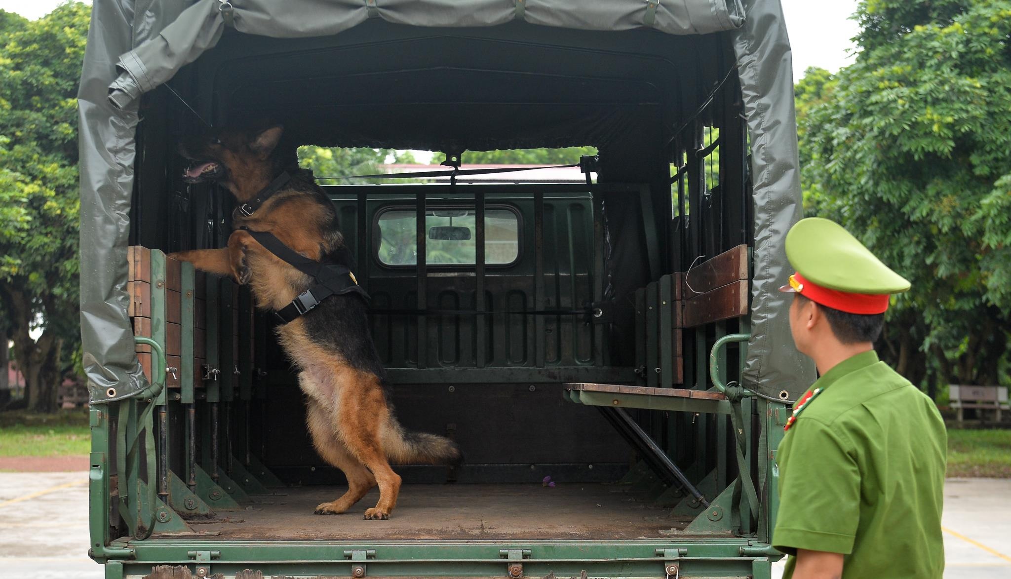 Cho nghiep vu tai tim ma tuy anh 2