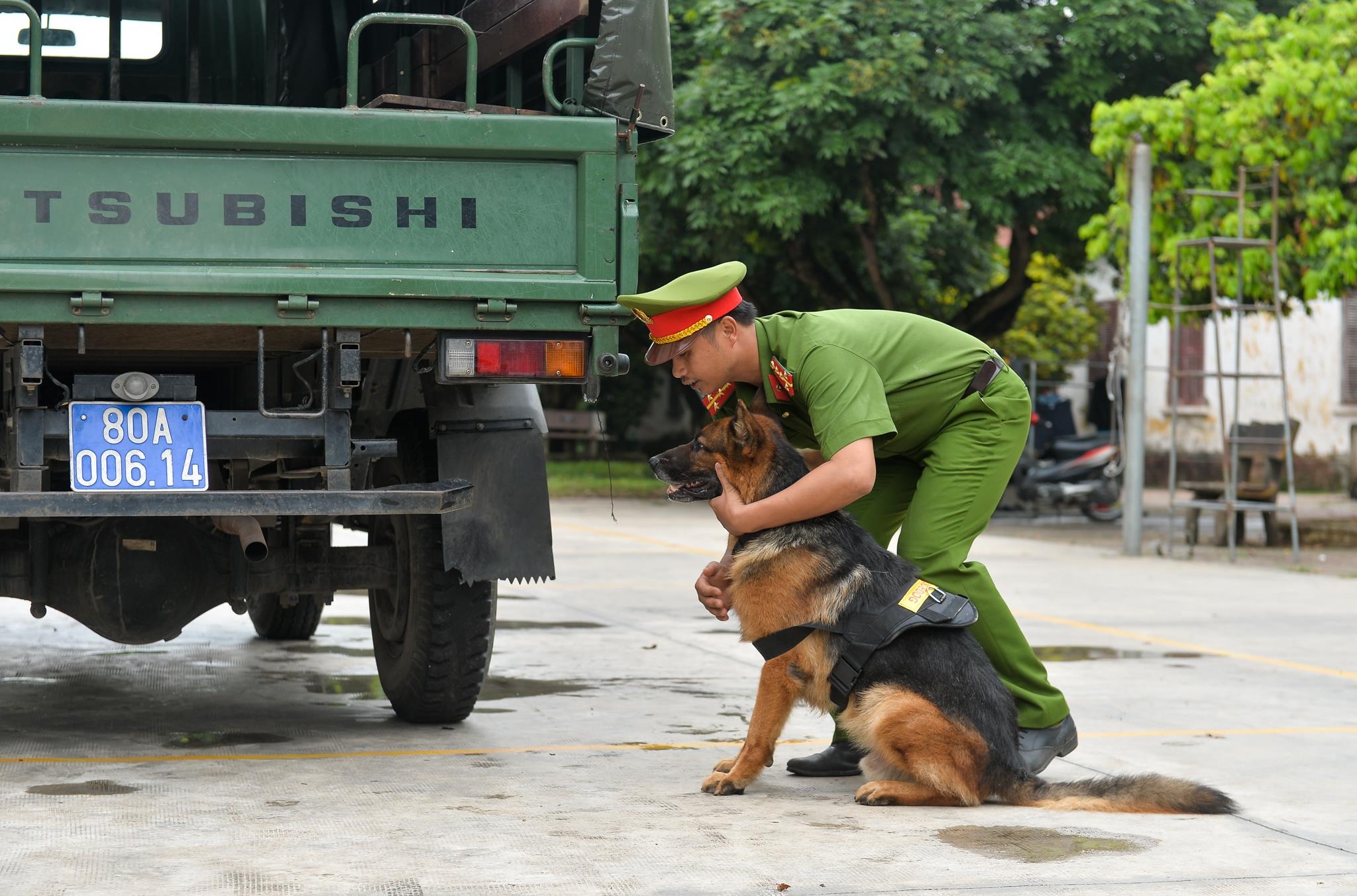 Cho nghiep vu tai tim ma tuy anh 3