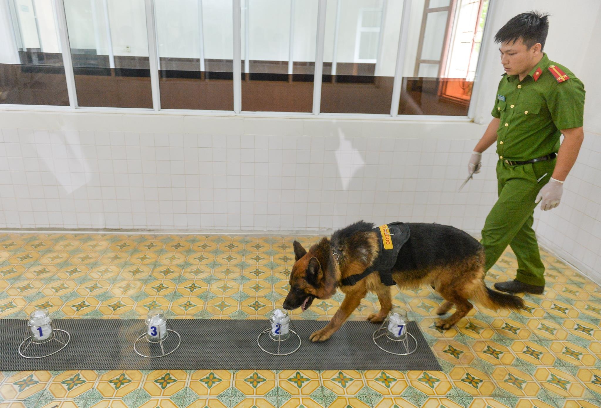 Cho nghiep vu tai tim ma tuy anh 8