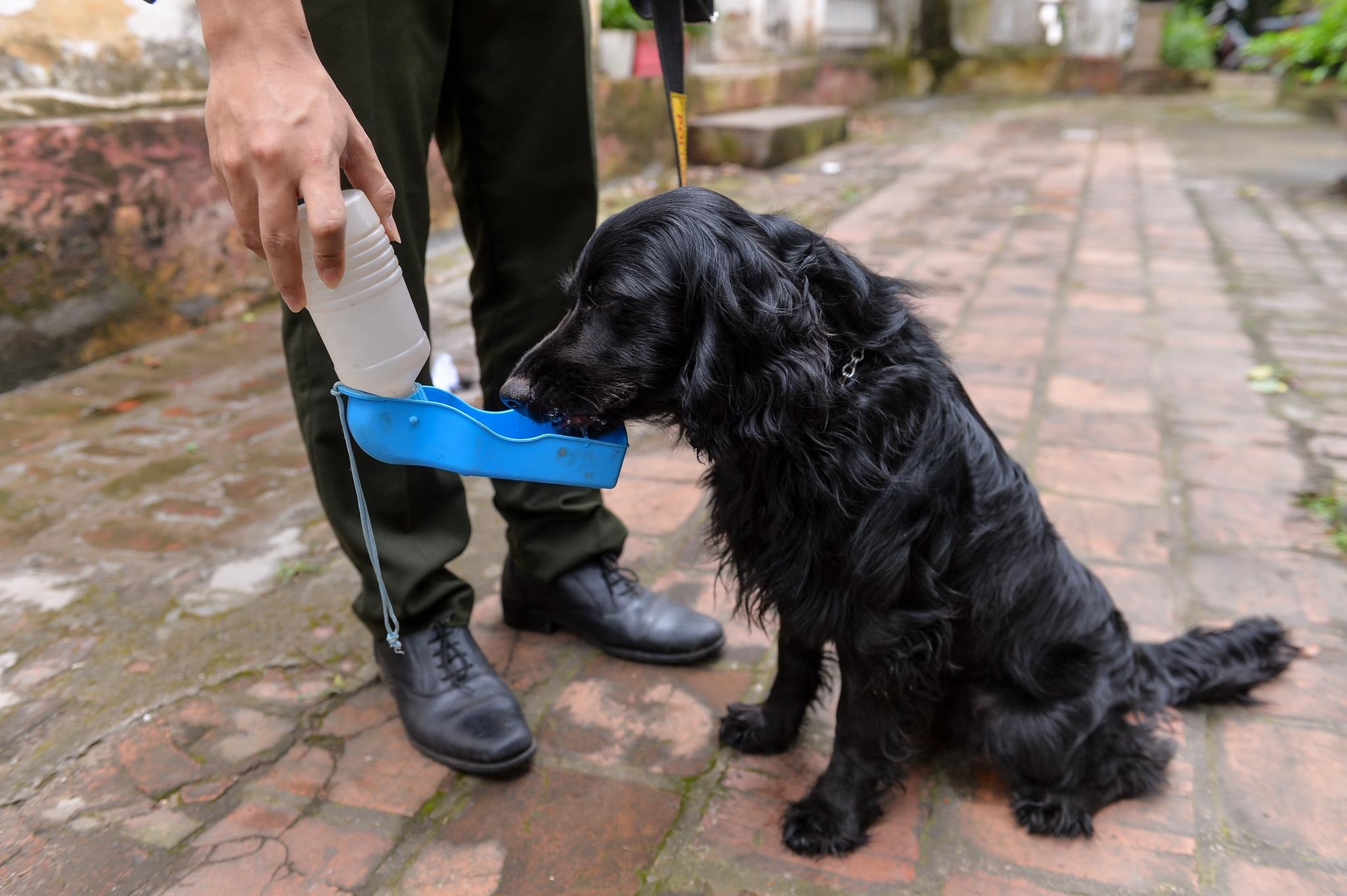 Cho nghiep vu tai tim ma tuy anh 10