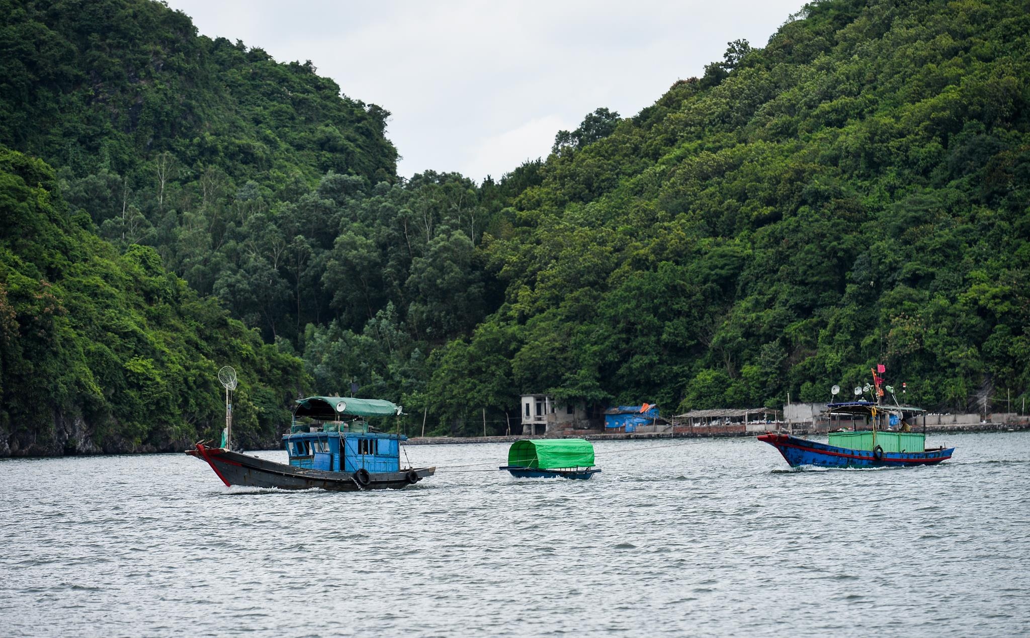 tam bien Cat Ba truoc bao so 2 anh 8