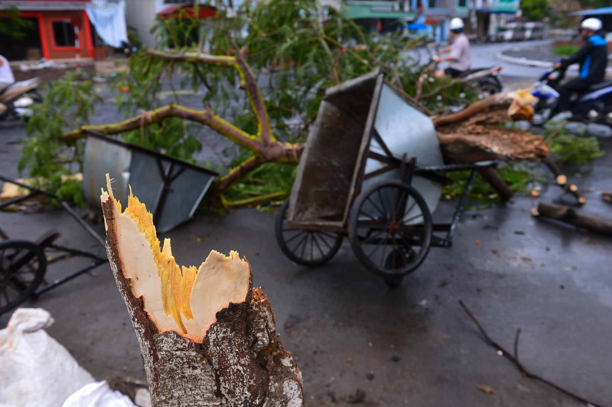 bao so 2 o Cat Ba anh 5