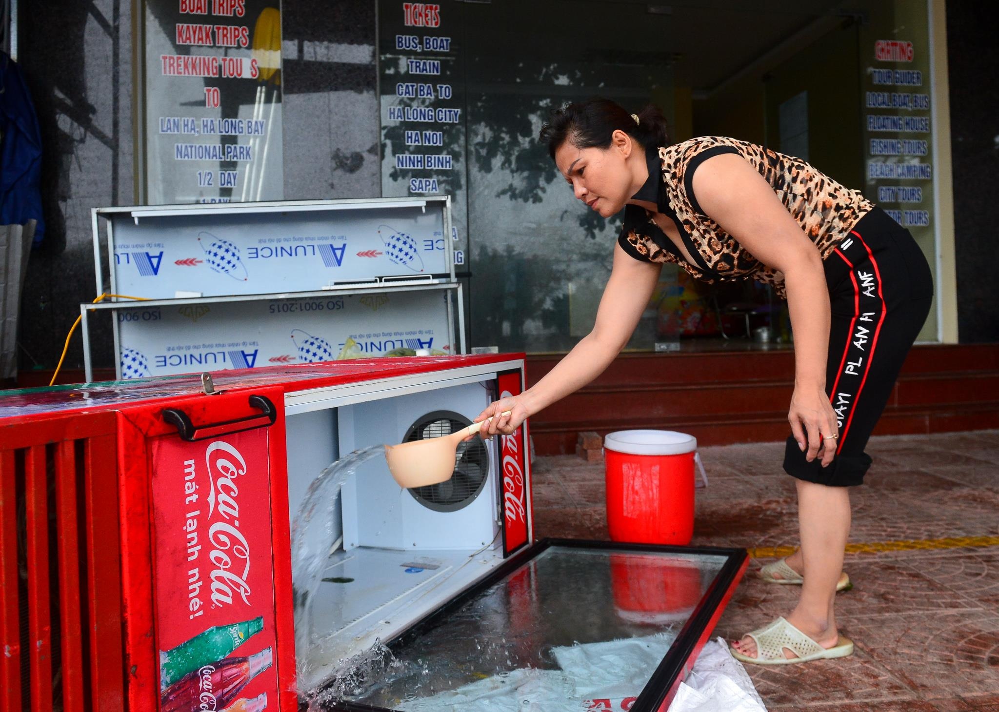 bao so 2 o Cat Ba anh 8