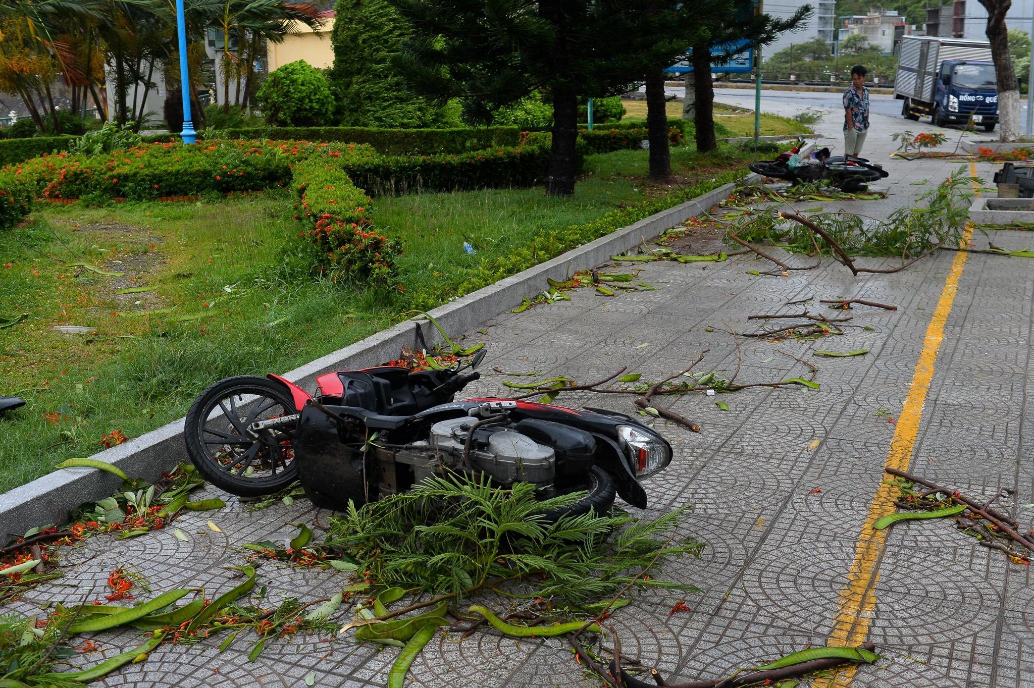 bao so 2 o Cat Ba anh 9