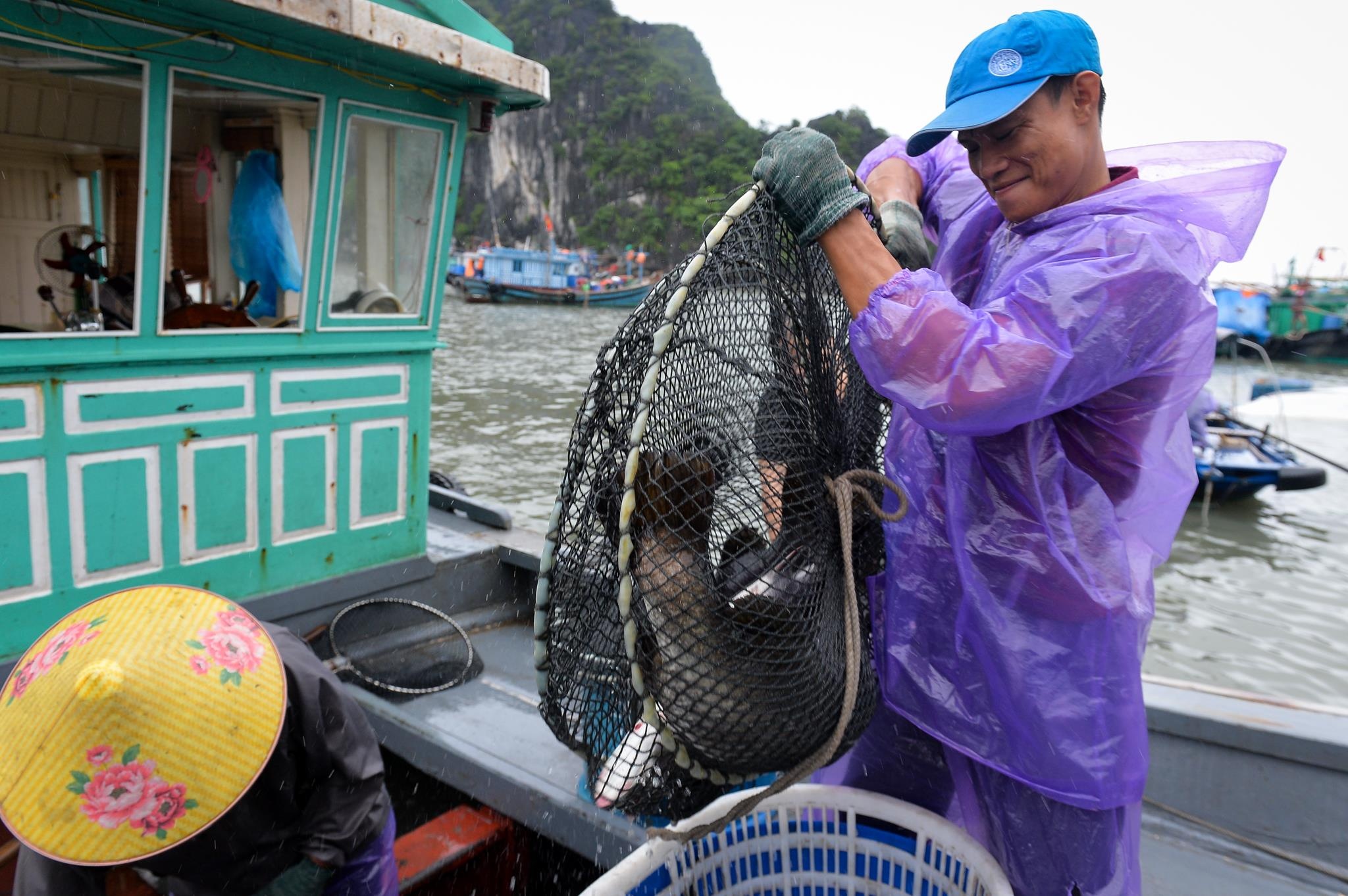 Du khach hon nhau sau bao so 3 anh 7