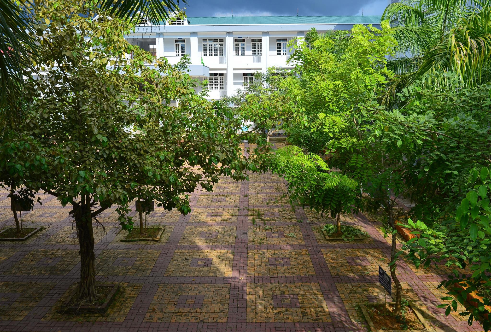 truong THPT Chuyen Cao Bang anh 2