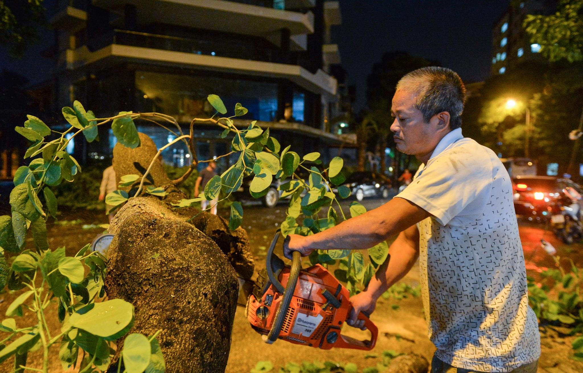 Cay do de o to anh 6