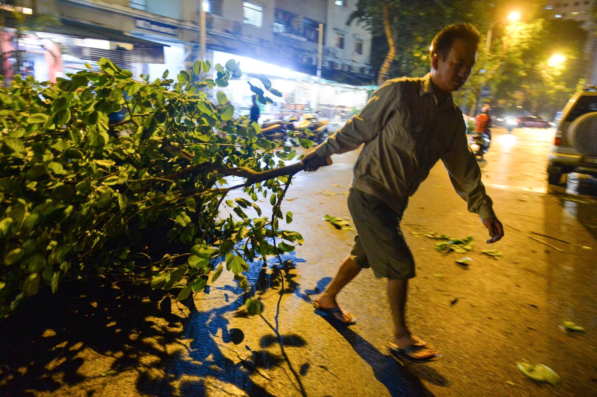 Cay do de o to anh 7