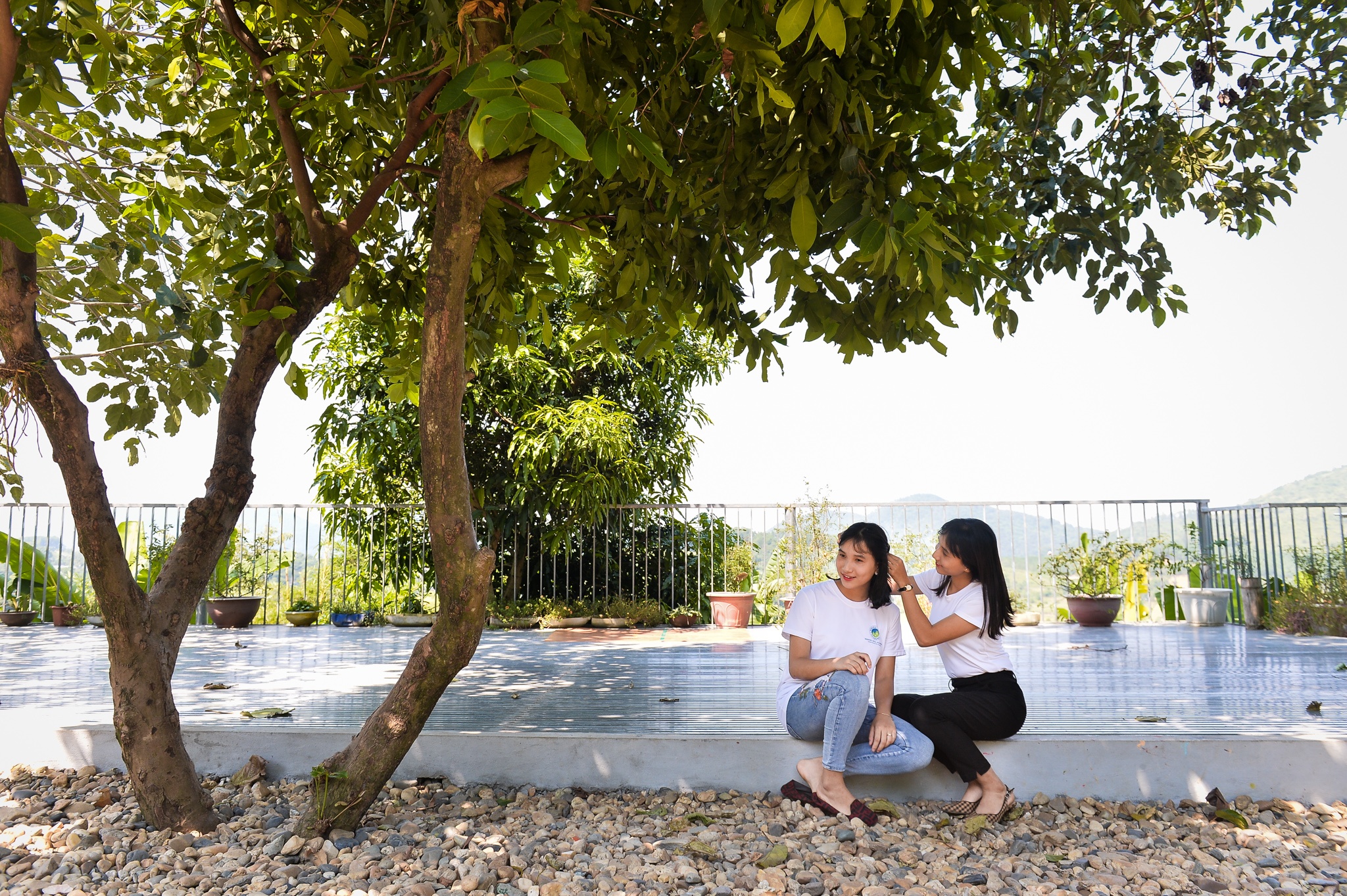 chi em sinh doi cung lam co giao anh 3