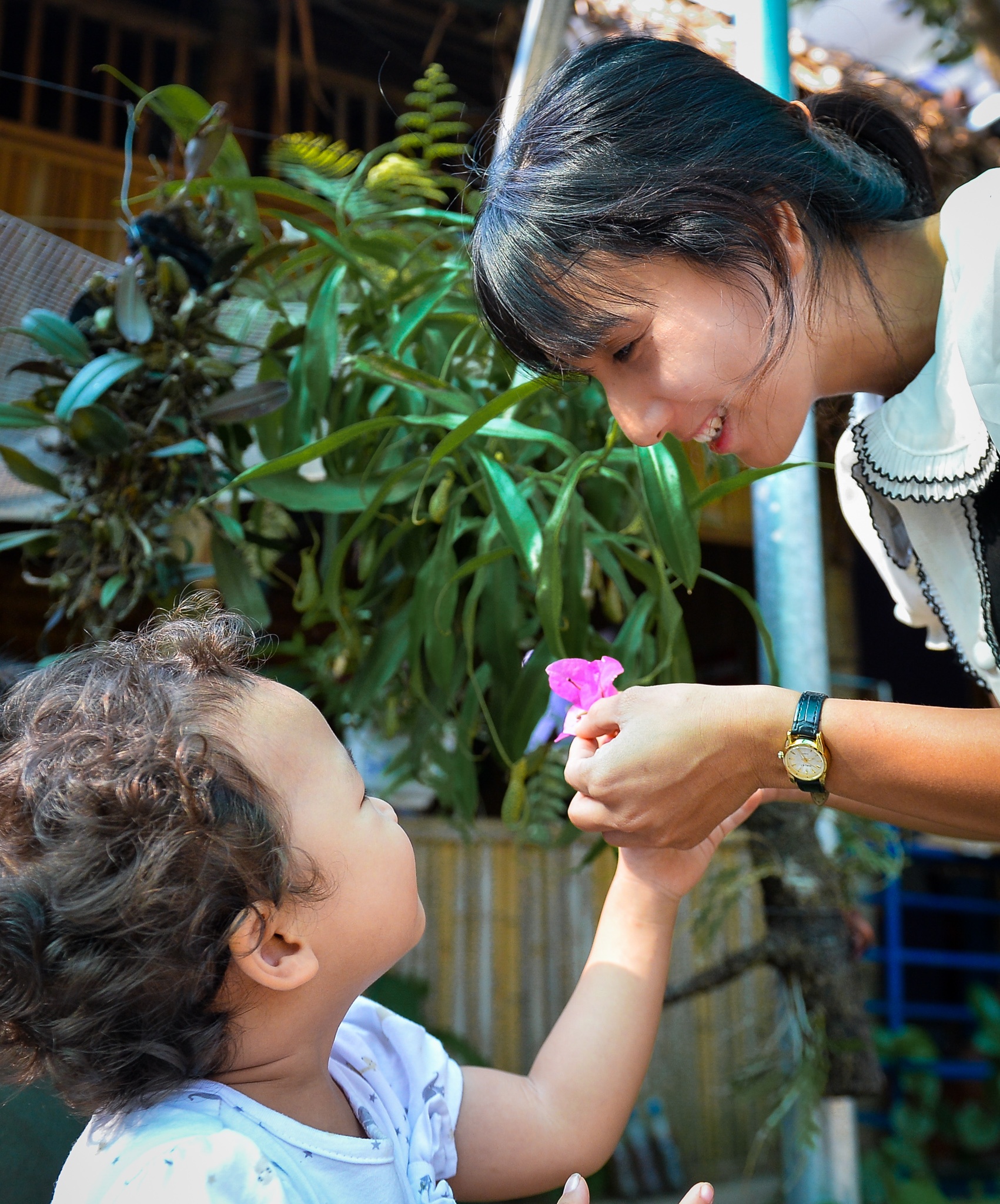 chi em sinh doi cung lam co giao anh 6