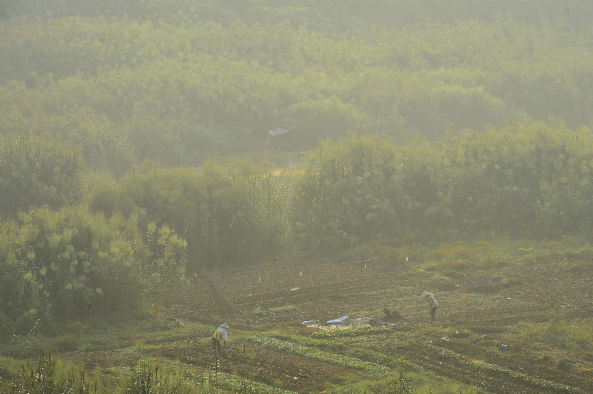 chỉ số ô nhiễm không khí cao kỷ lục ảnh 10 chi so o nhiem khong khi cao ky luc anh 10