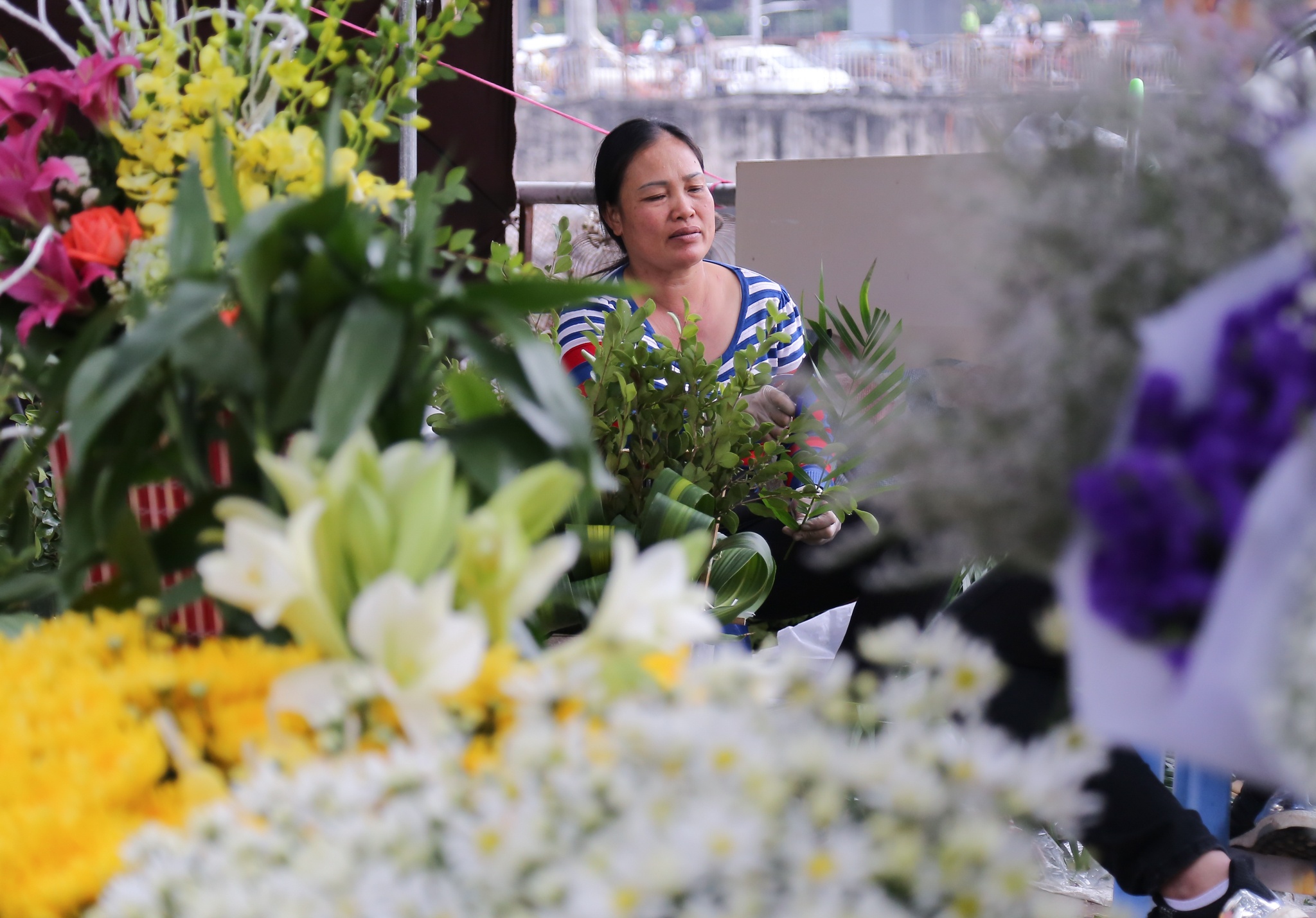 cuc hoa my cho ngay 20/11 anh 2