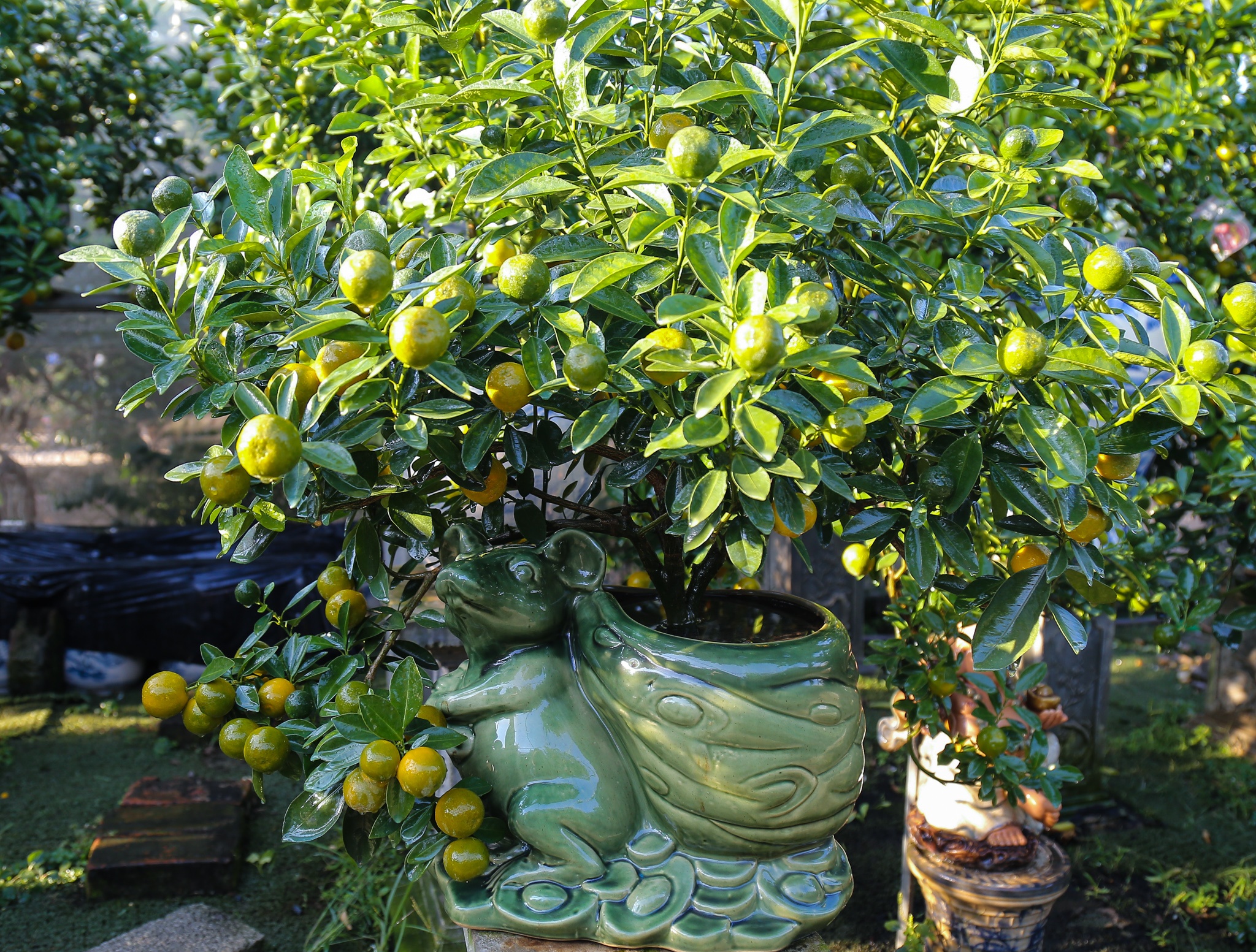 quat canh 12 con giap anh 3