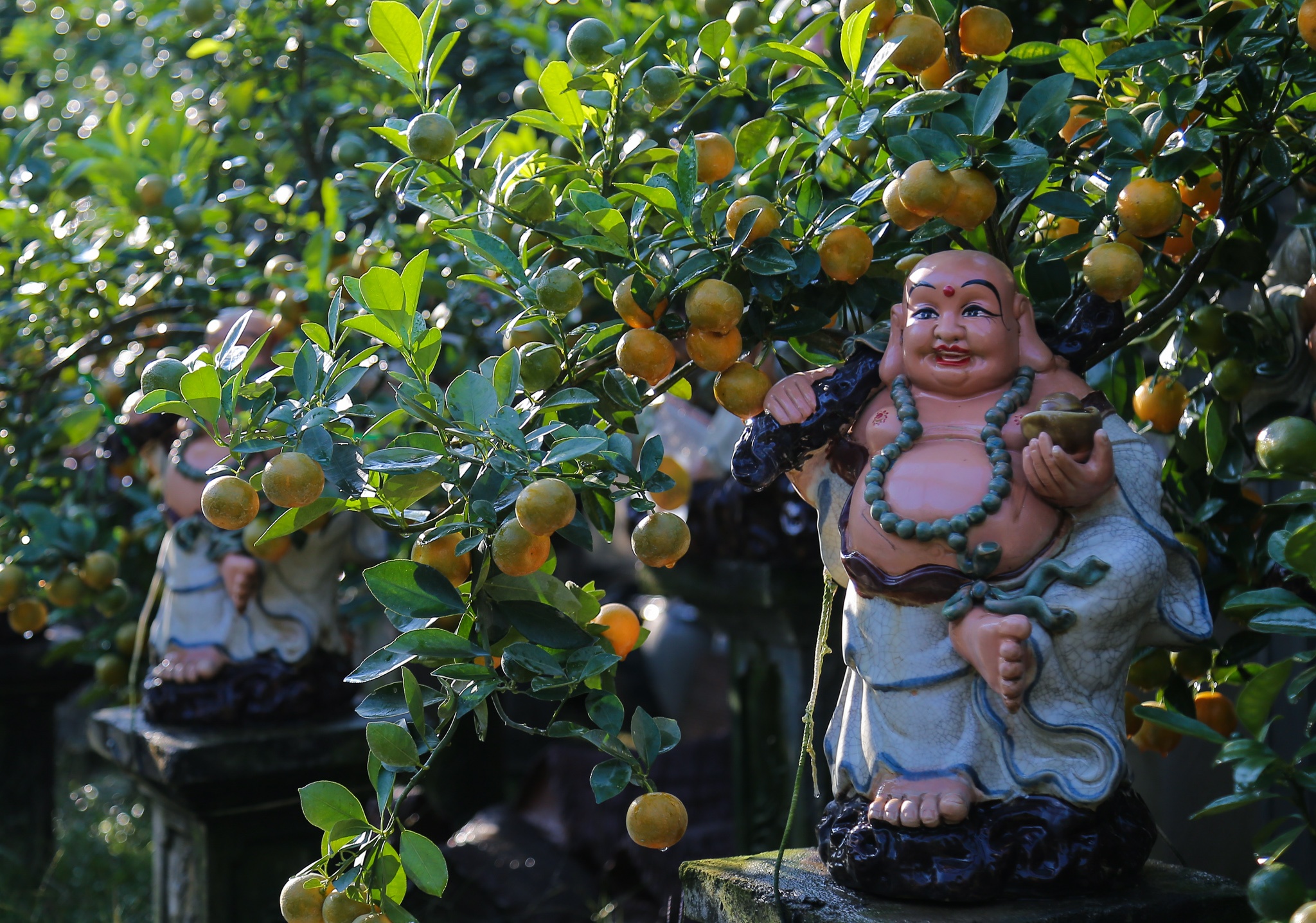 quat canh 12 con giap anh 7