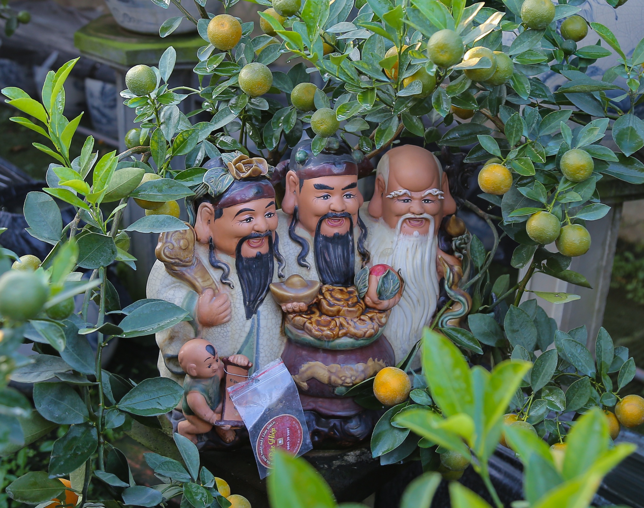 quat canh 12 con giap anh 8