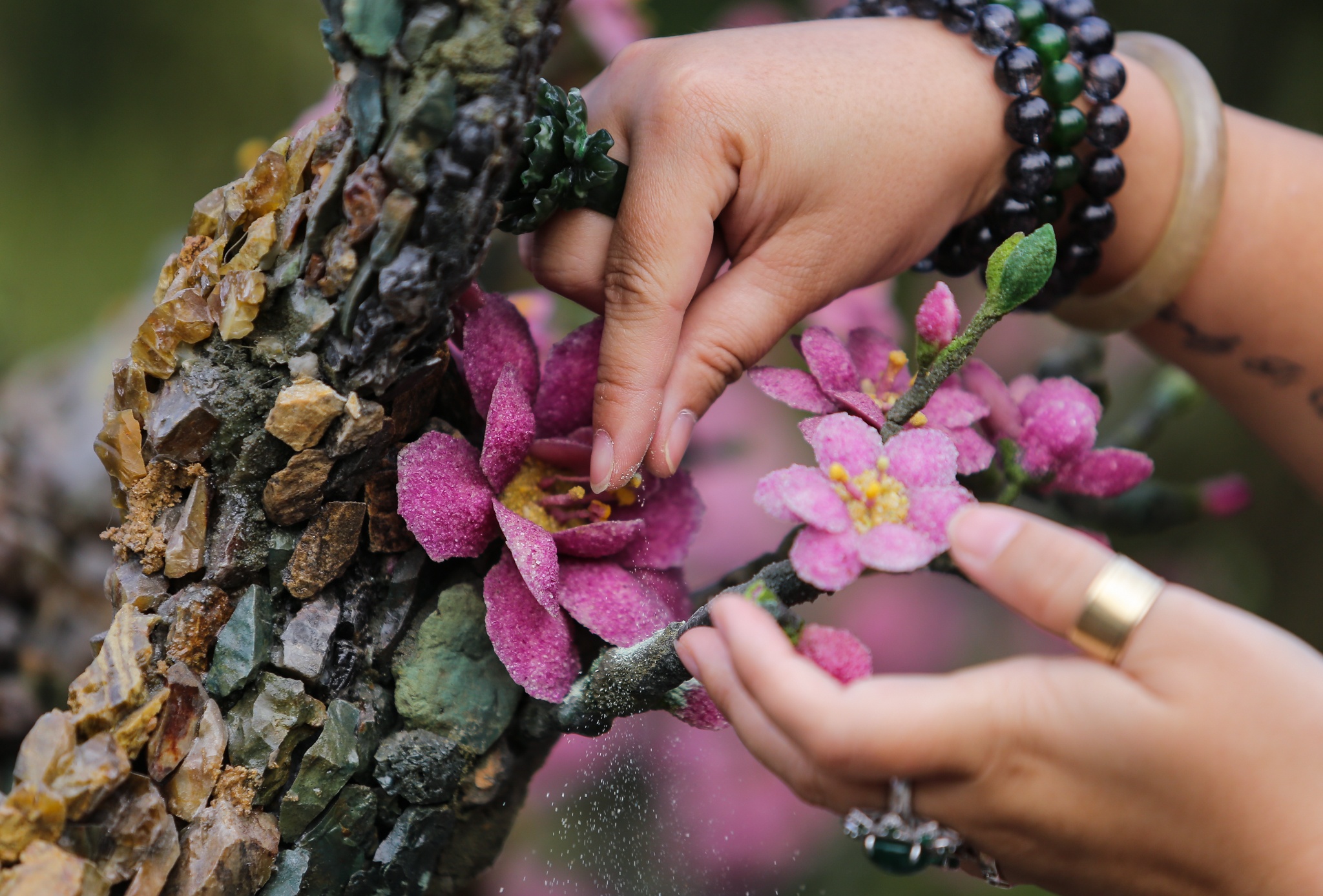 Cay dao lam bang da quy, rao gia 600 trieu hinh anh