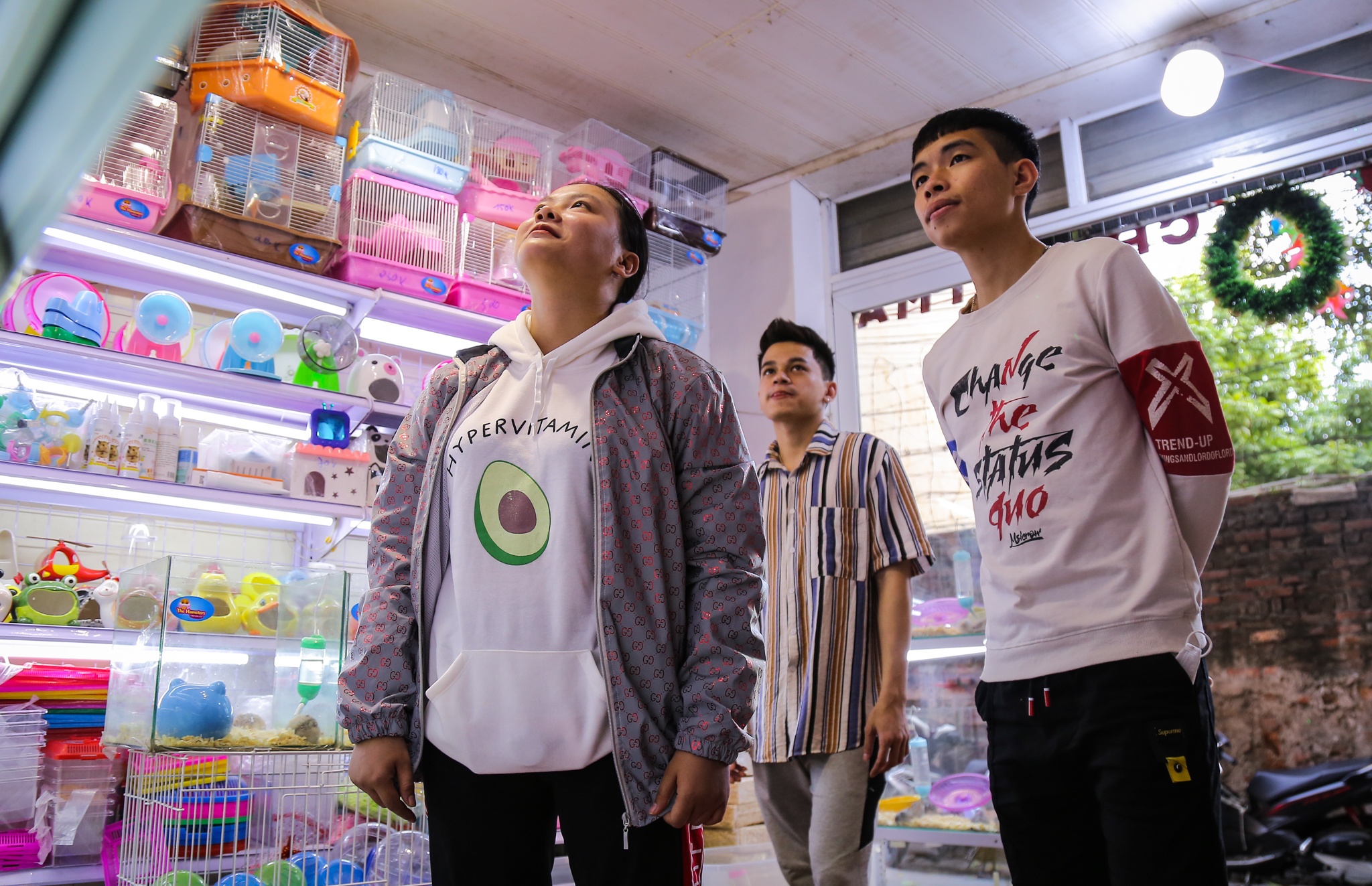 nuoi chuot hamster anh 2