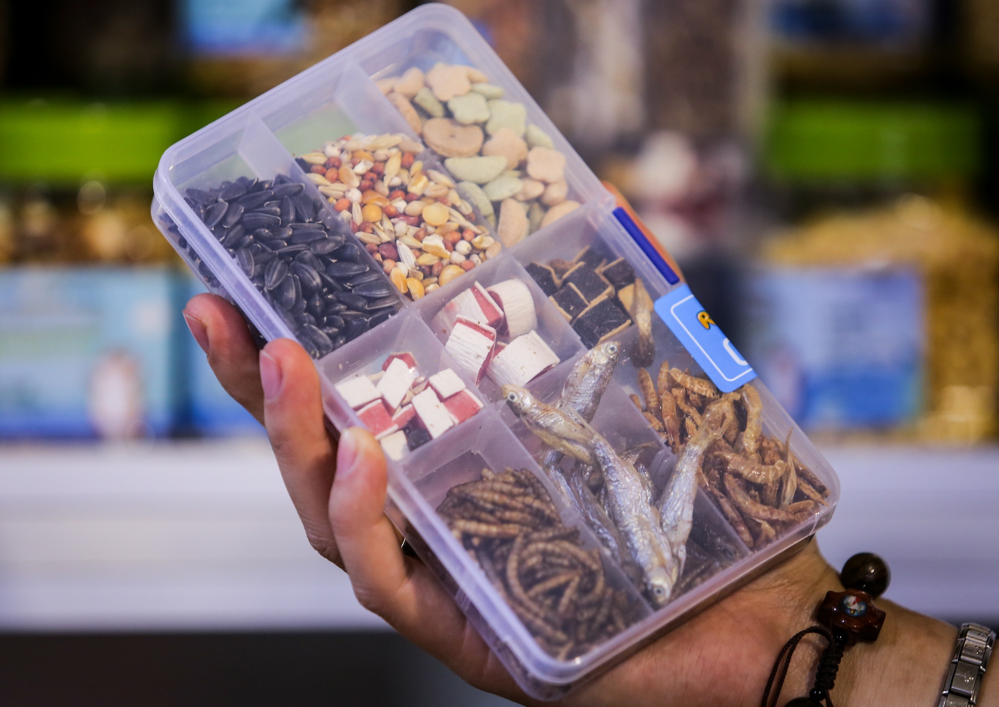 nuoi chuot hamster anh 5