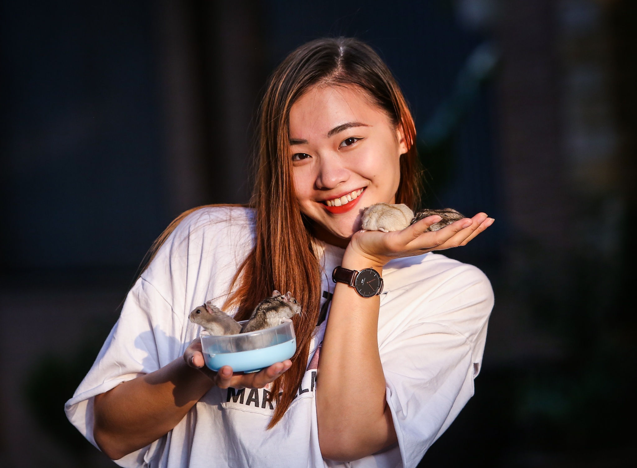 Chuot hamster ban chay truoc Tet hinh anh