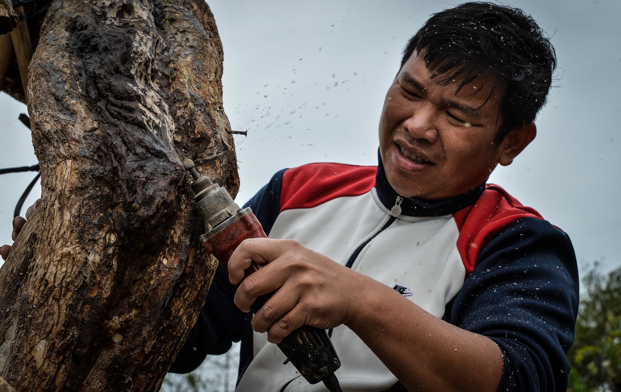 hoa giay ngu sac anh 5