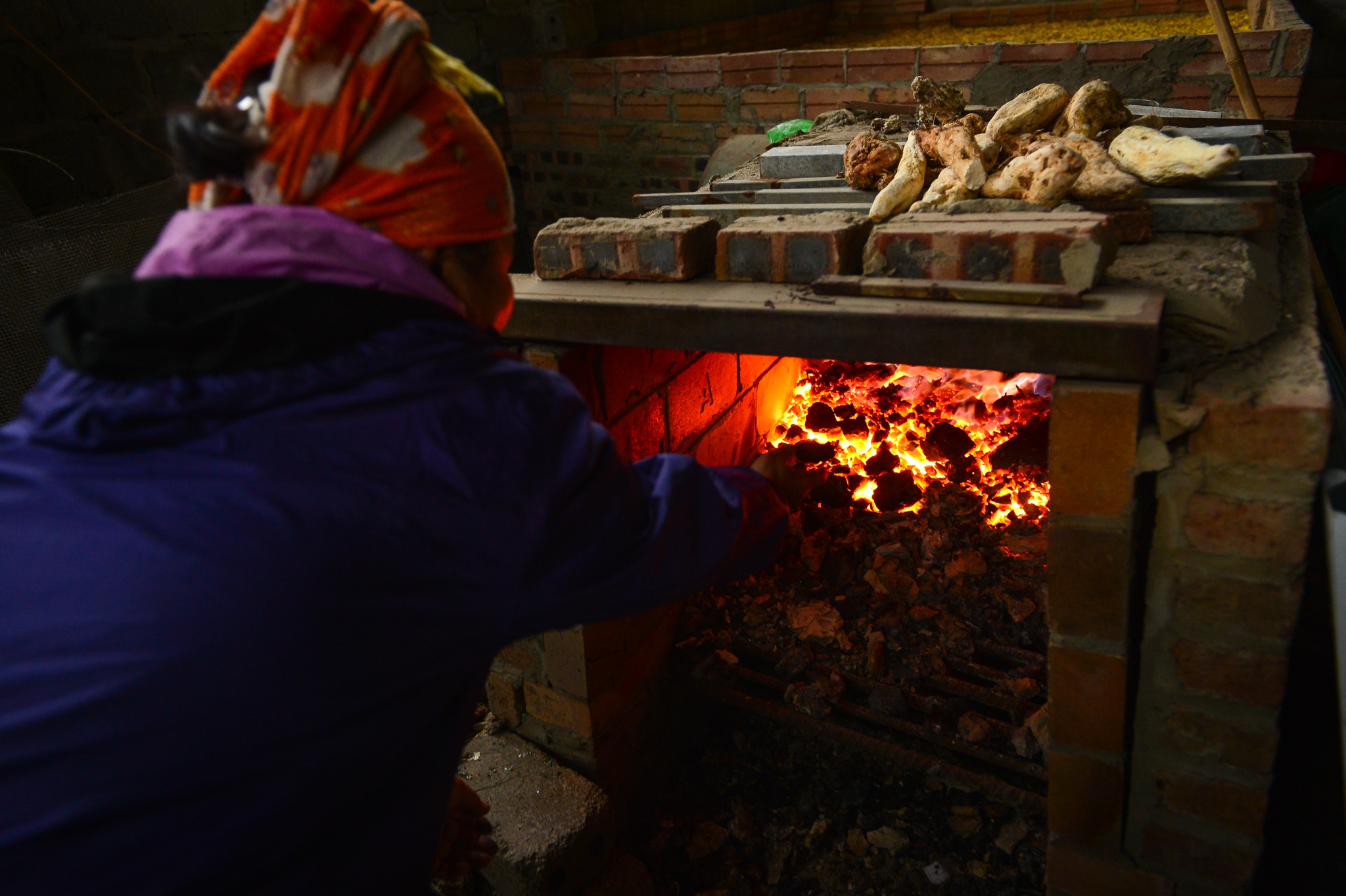 gia hoa cuc chi giam anh 7