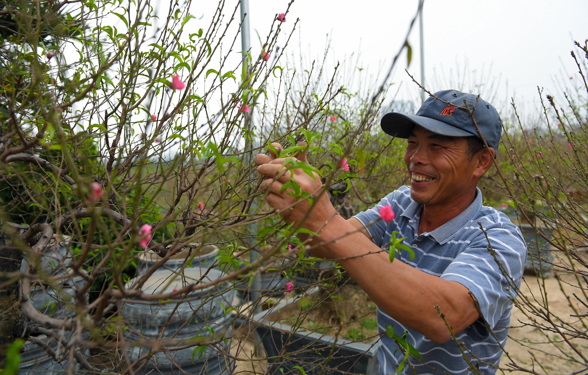 dao Nhat Tan no som anh 3