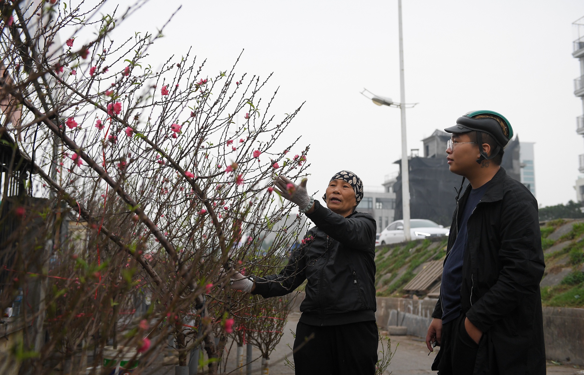 dao Nhat Tan no som anh 4