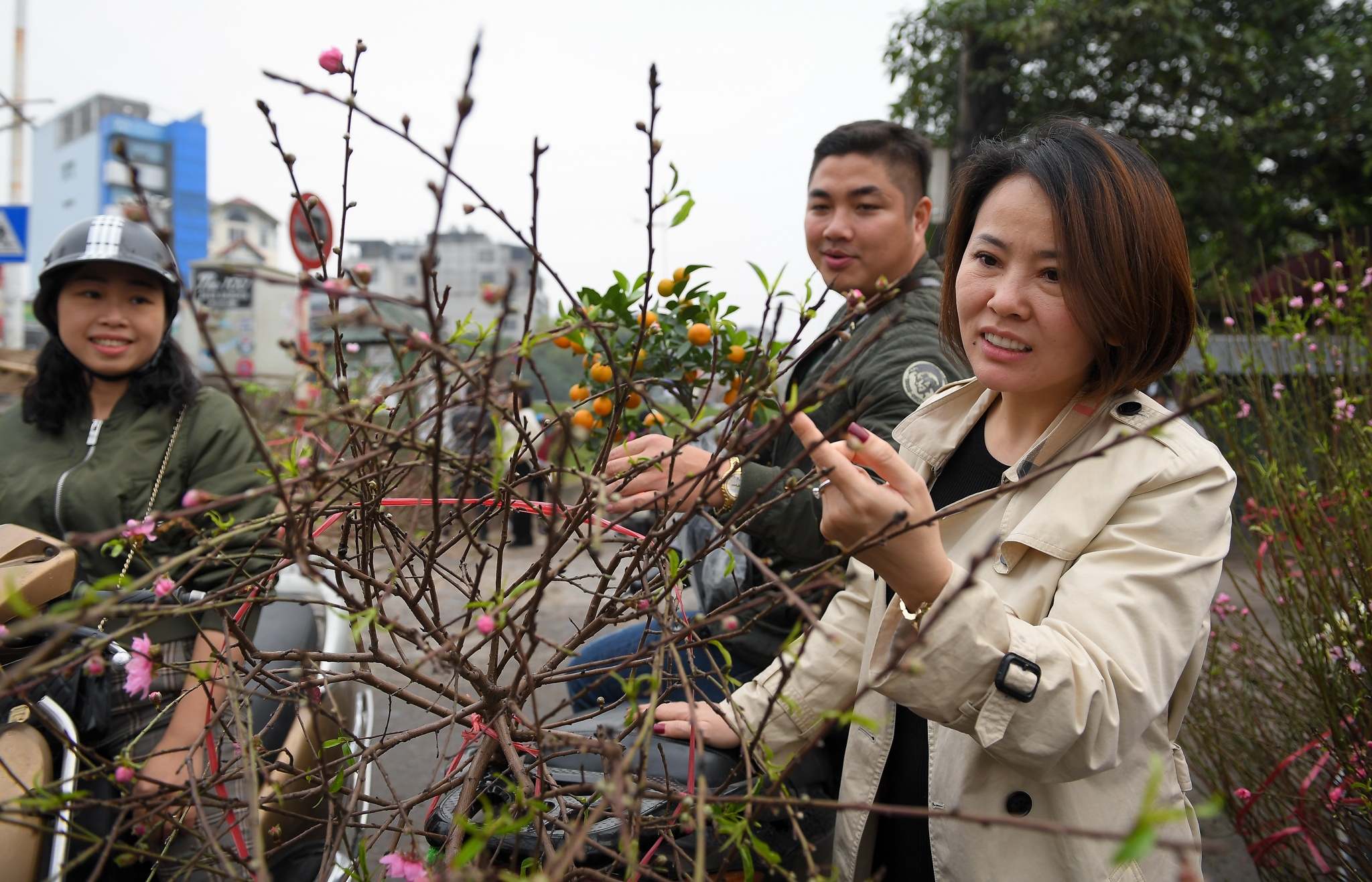 dao Nhat Tan no som anh 6