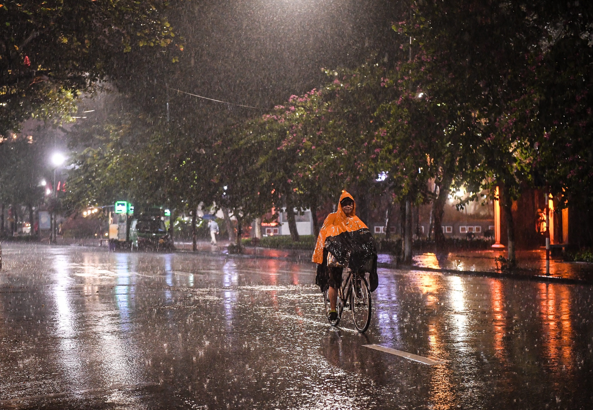 mua lon dem giao thua anh 1