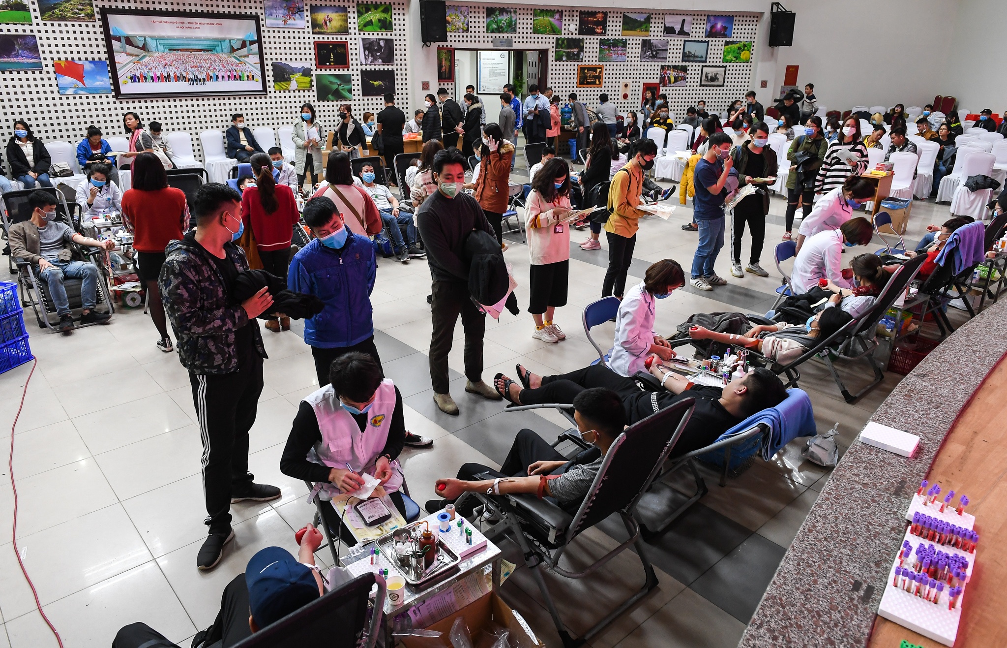 giai cuu con khung hoang mau anh 1