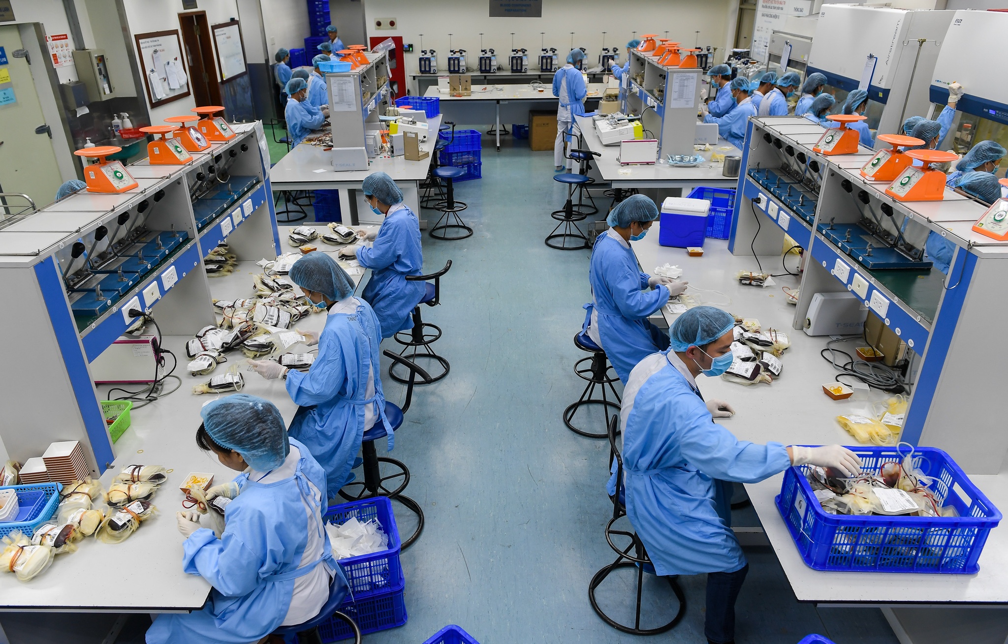 giai cuu con khung hoang mau anh 7