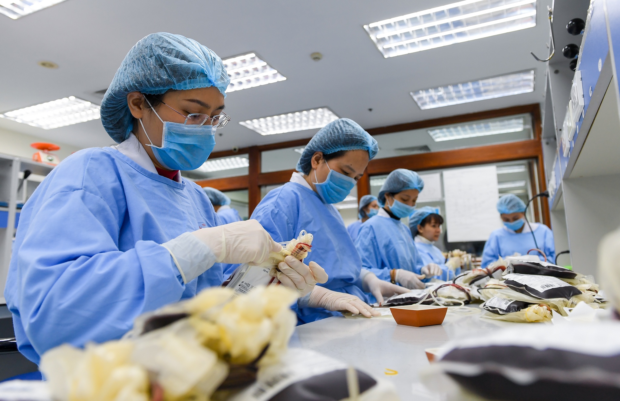 giai cuu con khung hoang mau anh 8