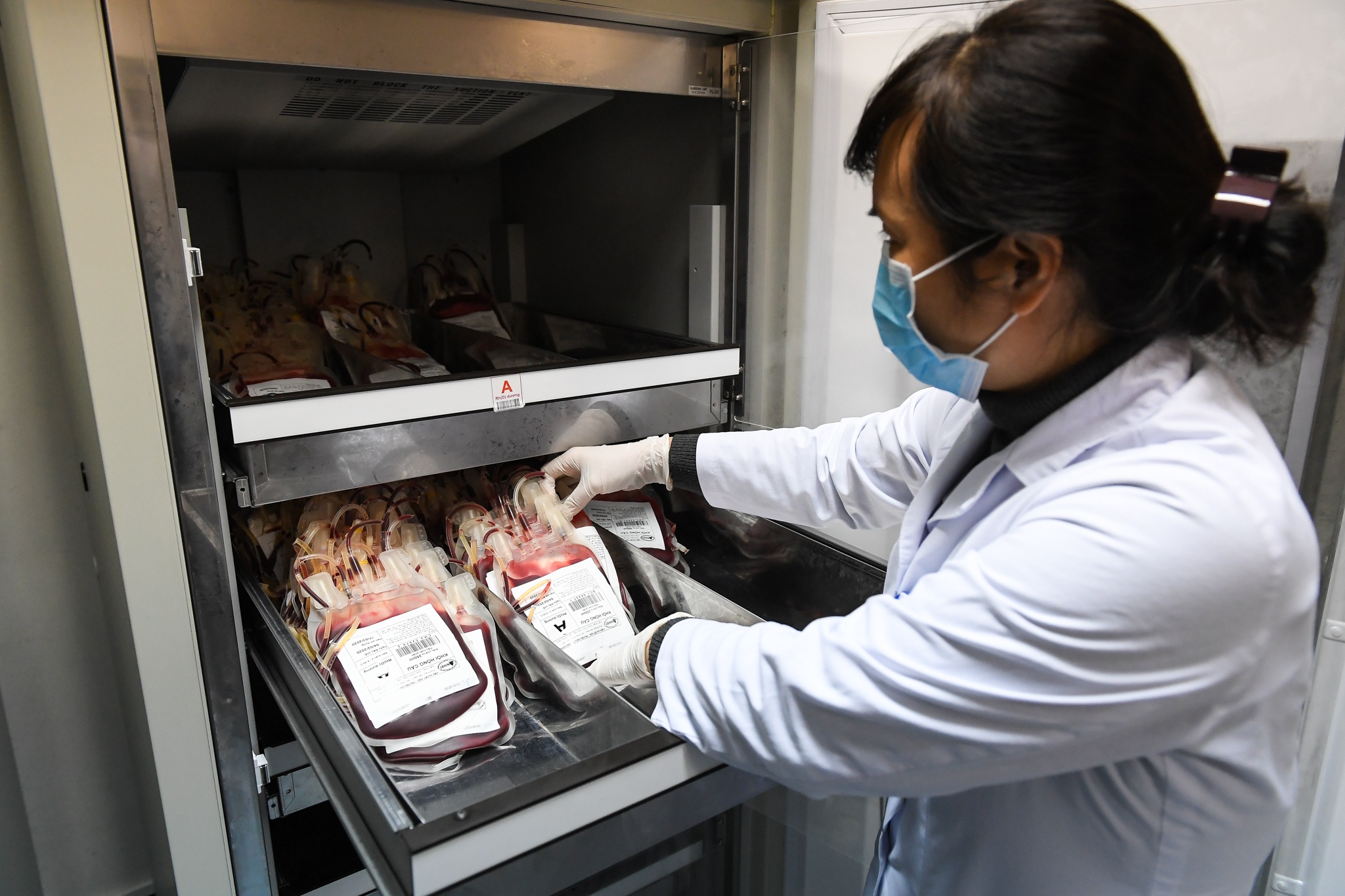 giai cuu con khung hoang mau anh 9